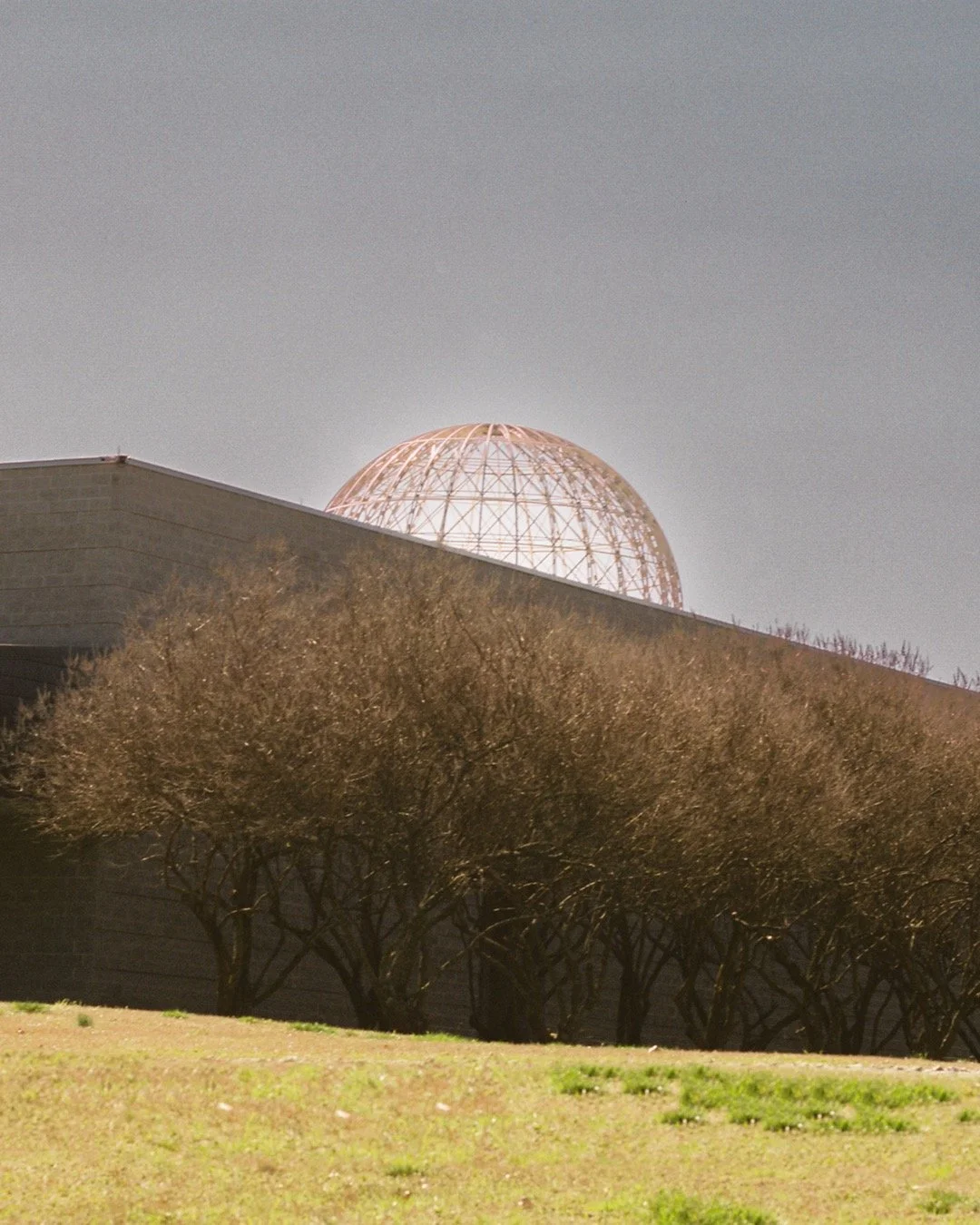 A large round glass dome structure on top of a building, partially obscured by leafless trees in the foreground, under a clear sky.