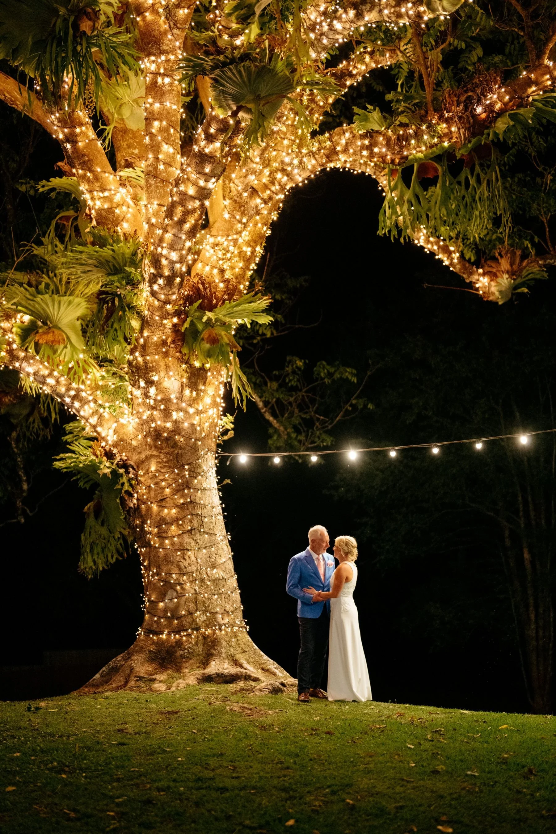 Maleny Manor Crow's Ash Tree at Night