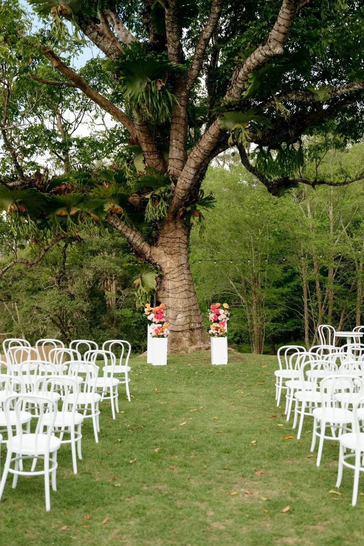 Crow's Ash Tree Ceremony