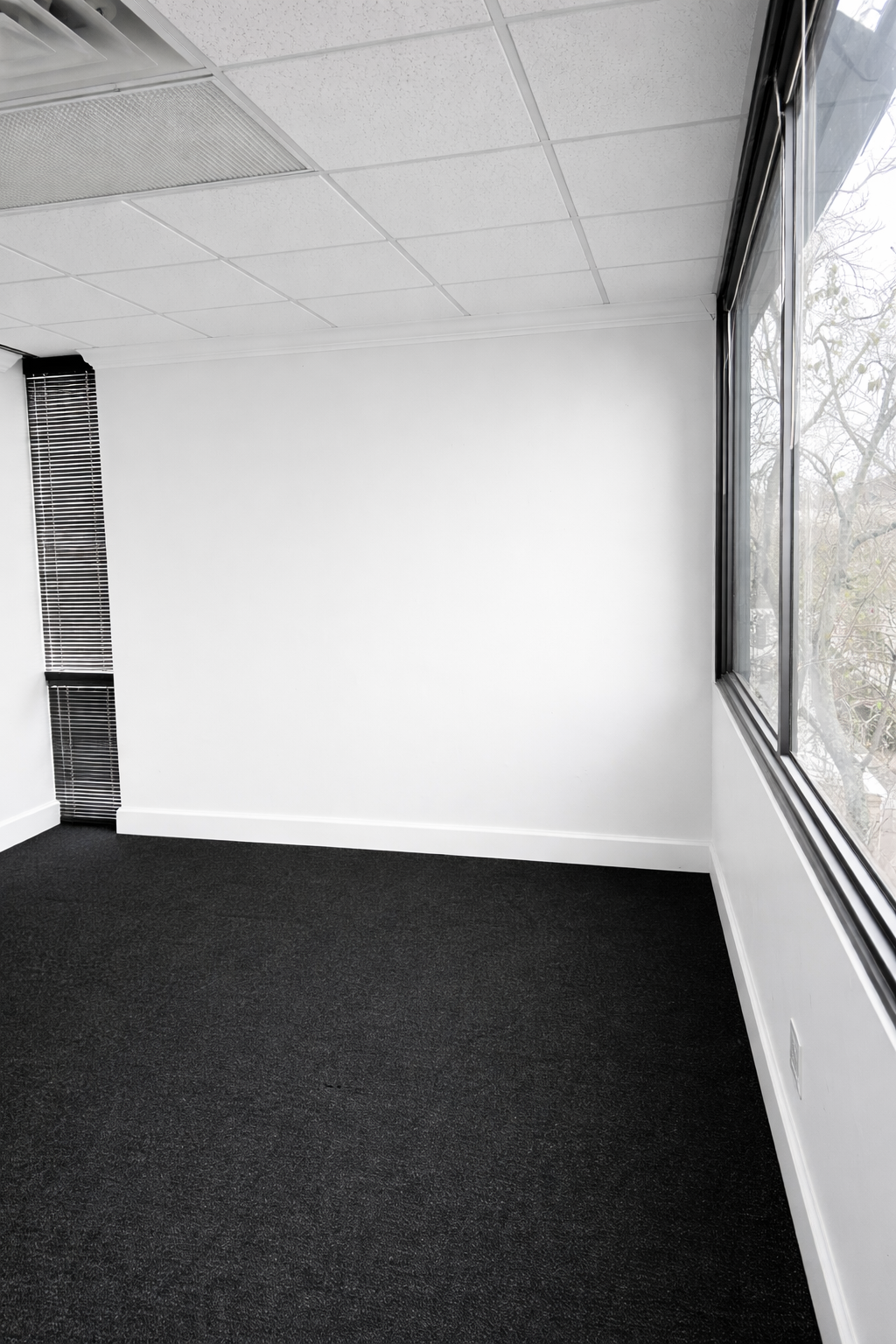 ChatGPT Image Feb 3, 2026, 08_34_57 PM.png