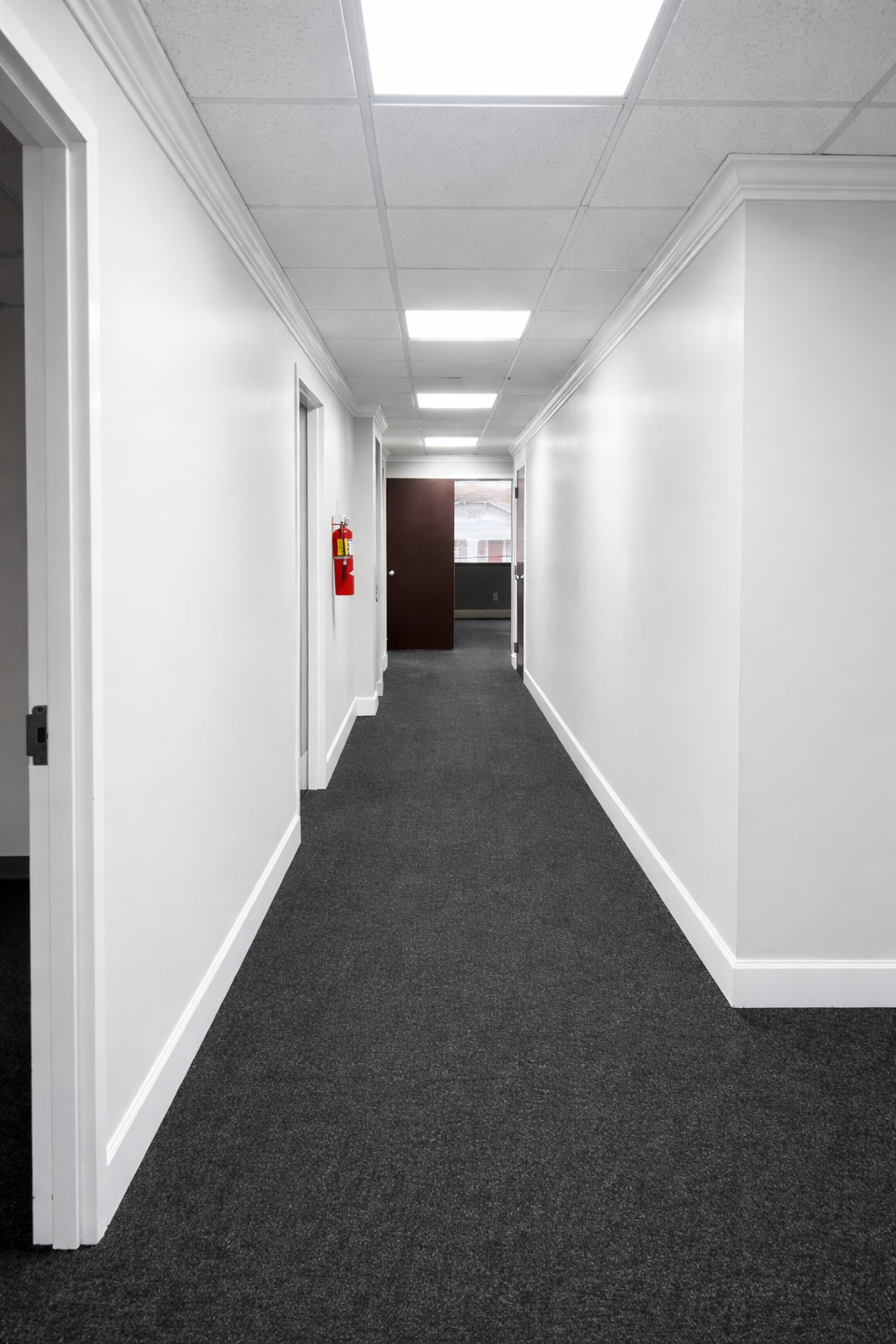 ChatGPT Image Feb 3, 2026, 08_44_36 PM.png