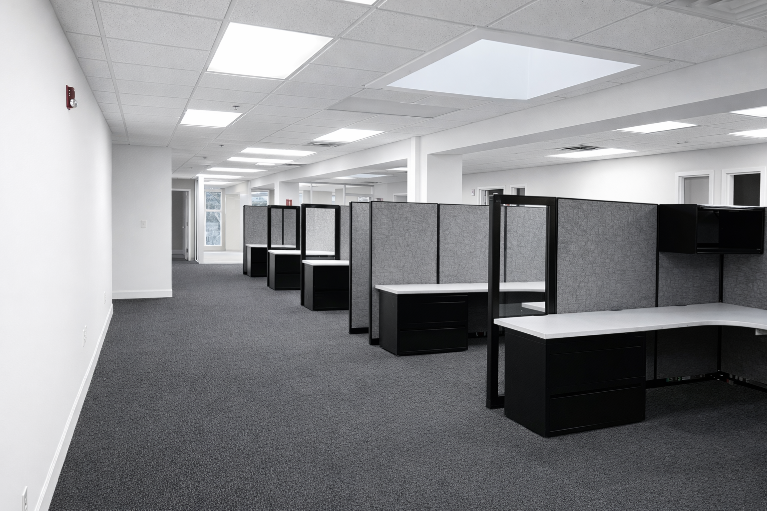 Empty office space with cubicles, gray carpet, white walls, ceiling with fluorescent lights, and windows in the background.