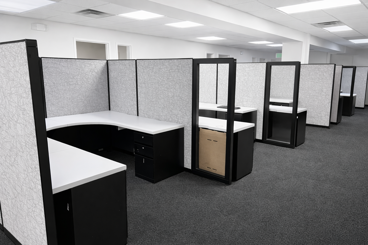 ChatGPT Image Jan 30, 2026, 10_04_47 AM.png