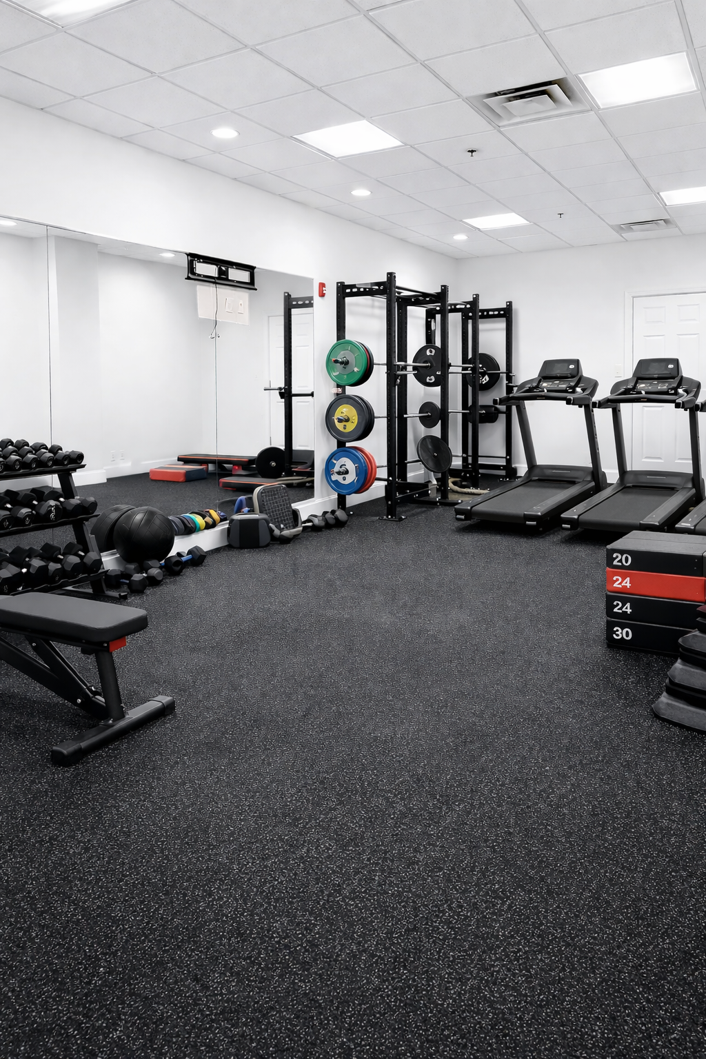 ChatGPT Image Feb 1, 2026, 02_55_45 PM.png