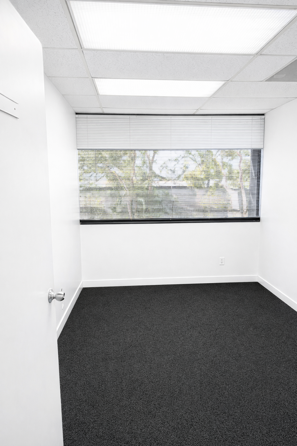 Empty office room with white walls, black carpet, window with blinds, and ceiling lights.