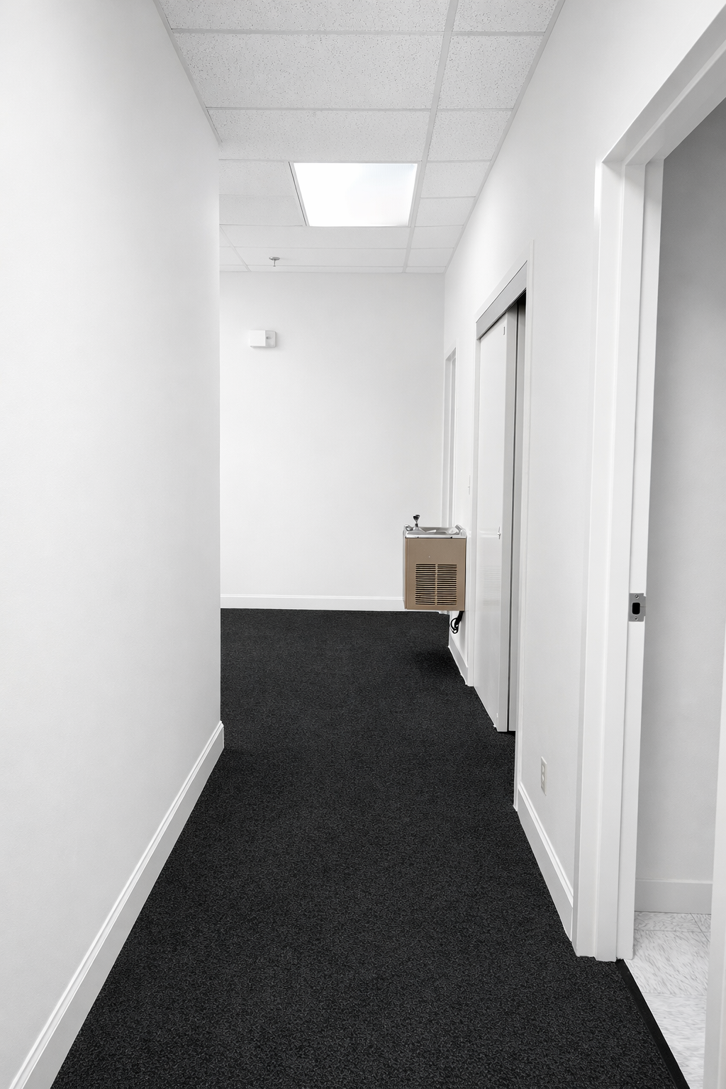 ChatGPT Image Jan 30, 2026, 09_50_05 AM.png