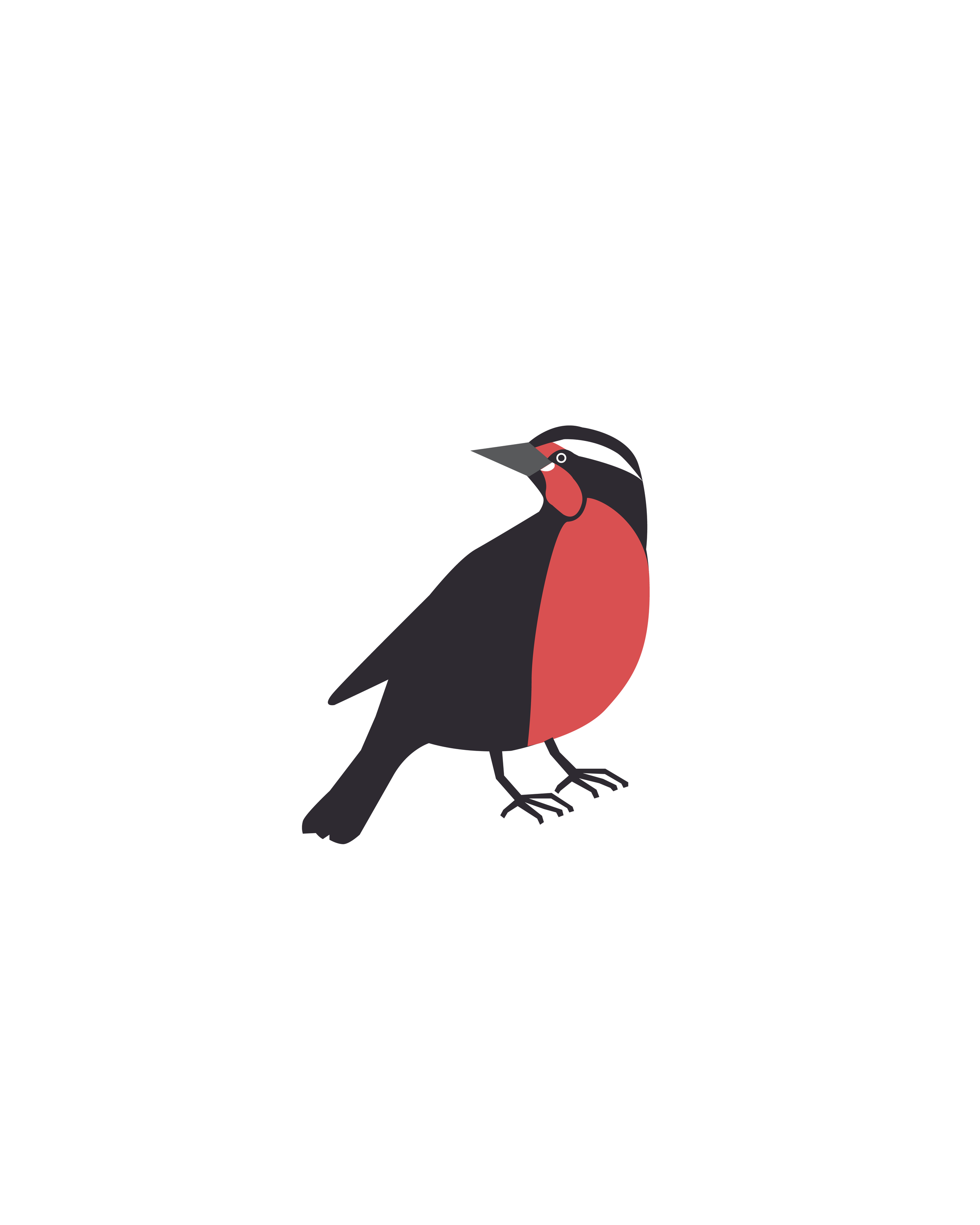 pajaro verti-04.png