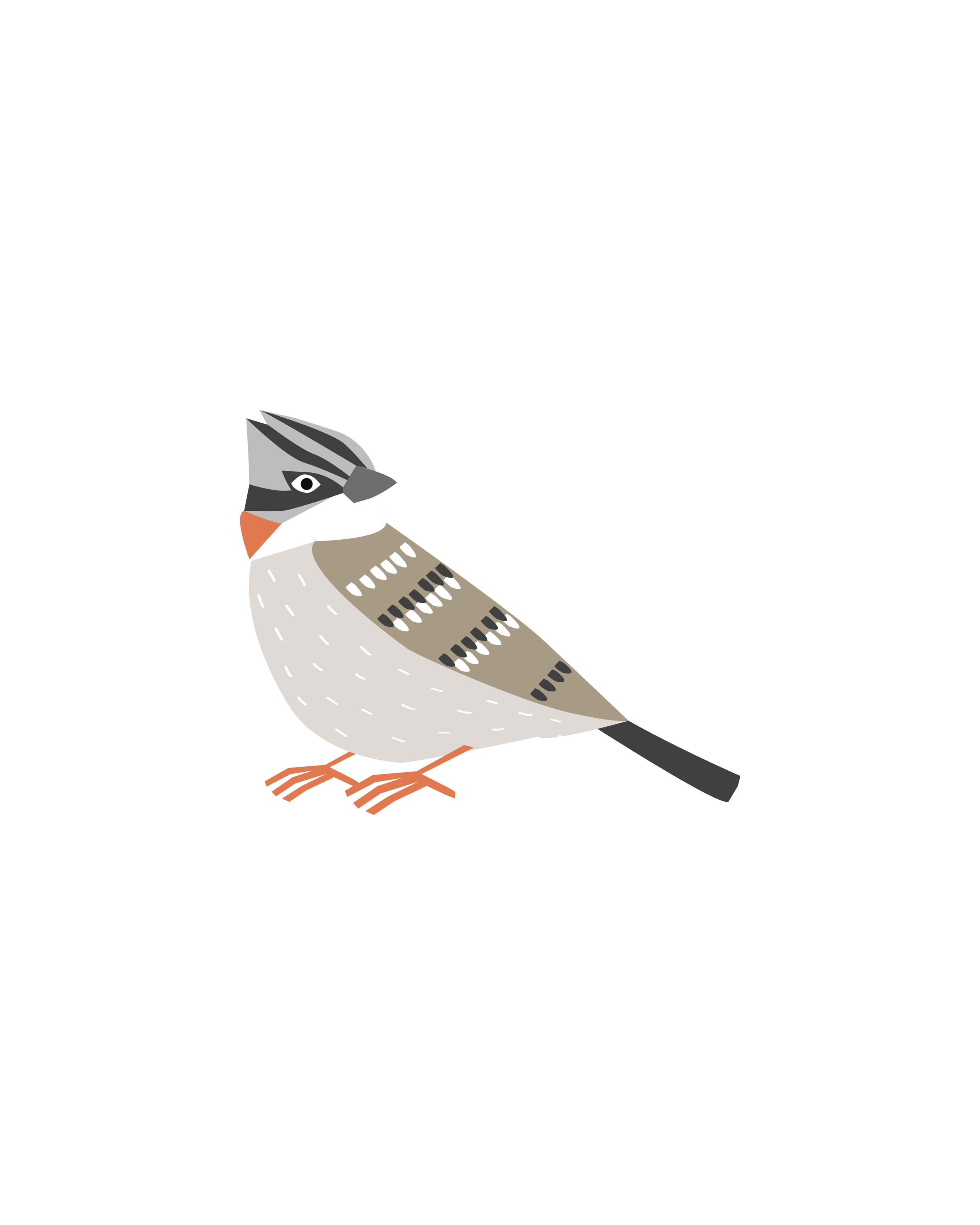 pajaro verti-01.png