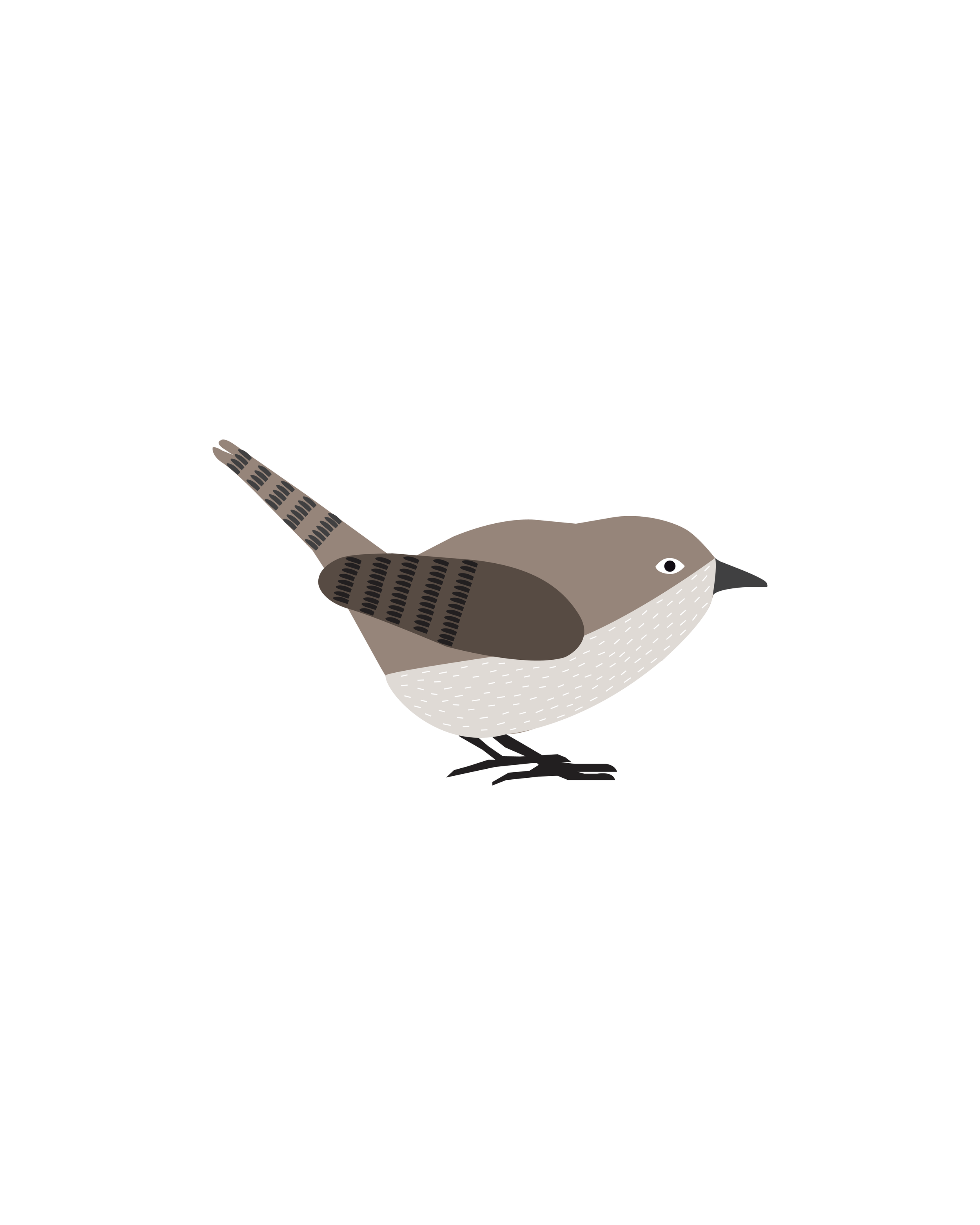 pajaro verti-06.png