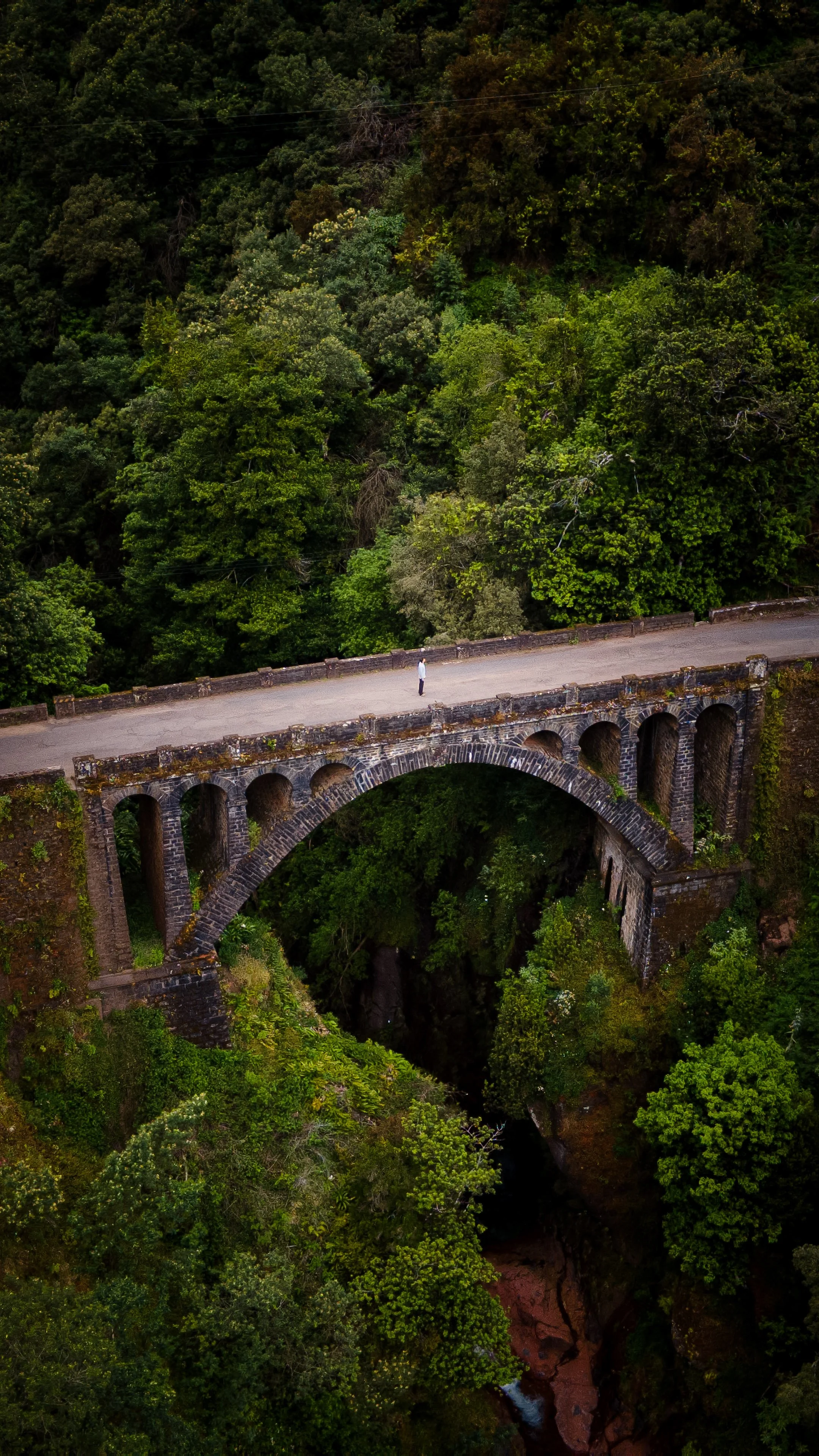 A person walking across a historic stone bridge with multiple arches, surrounded by dense green forest.
