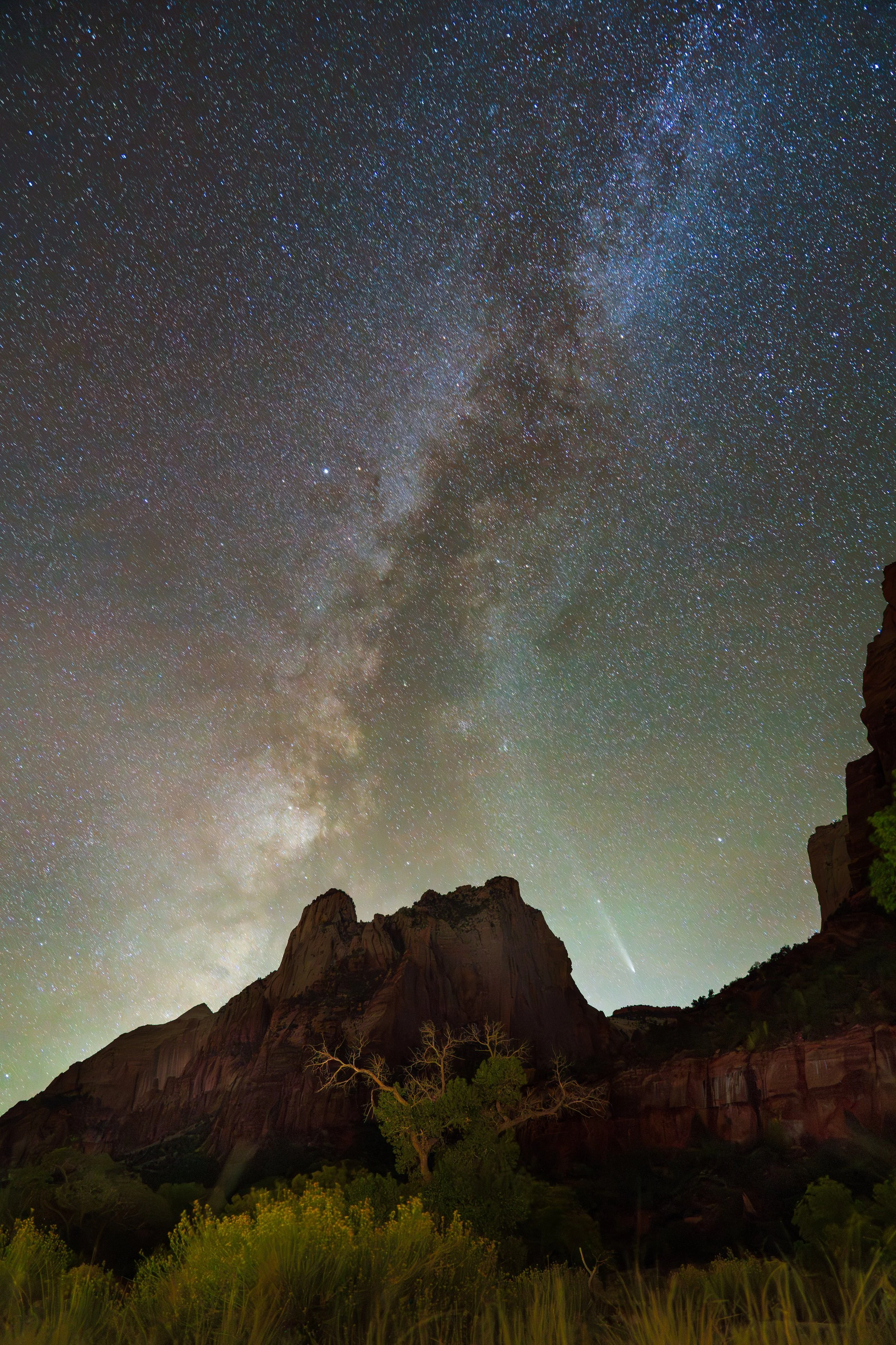 Night sky filled with stars and the Milky Way galaxy, with a mountain range and some trees in the foreground.
