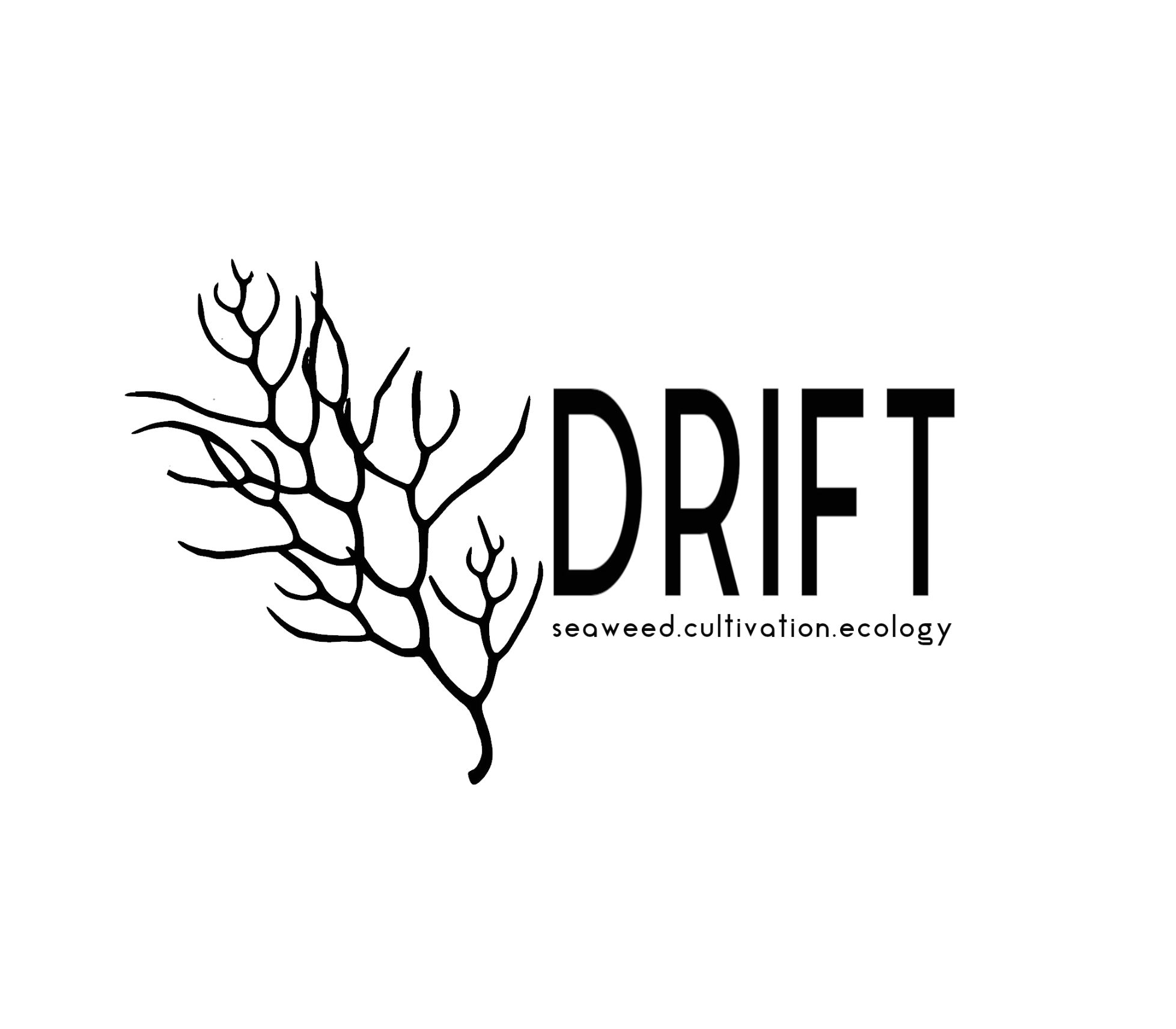 Dift+Seaweed.png