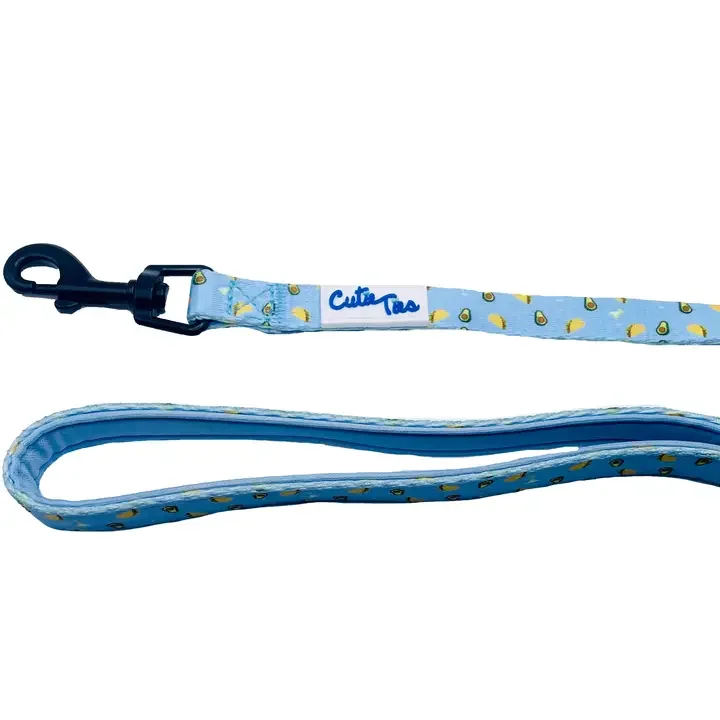 Taco Party Dog Leash - 6ft