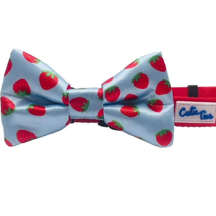 Strawberry Blue Dog Bow Tie
