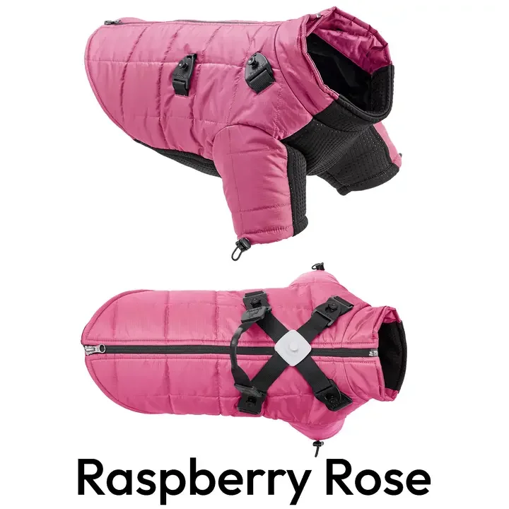 Raspberry Rose - Alpine Explorer