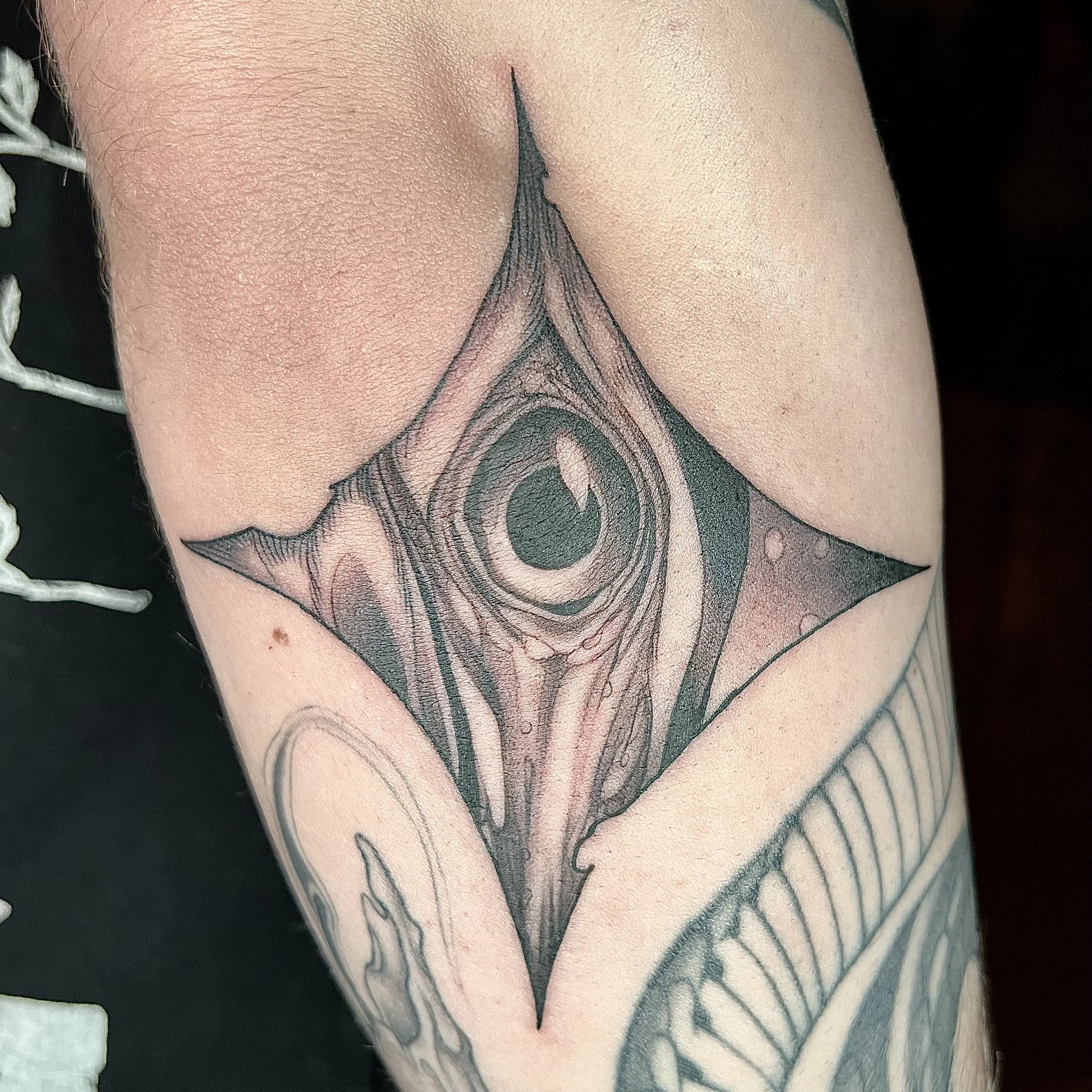 Untitled_Artwork 2.jpg