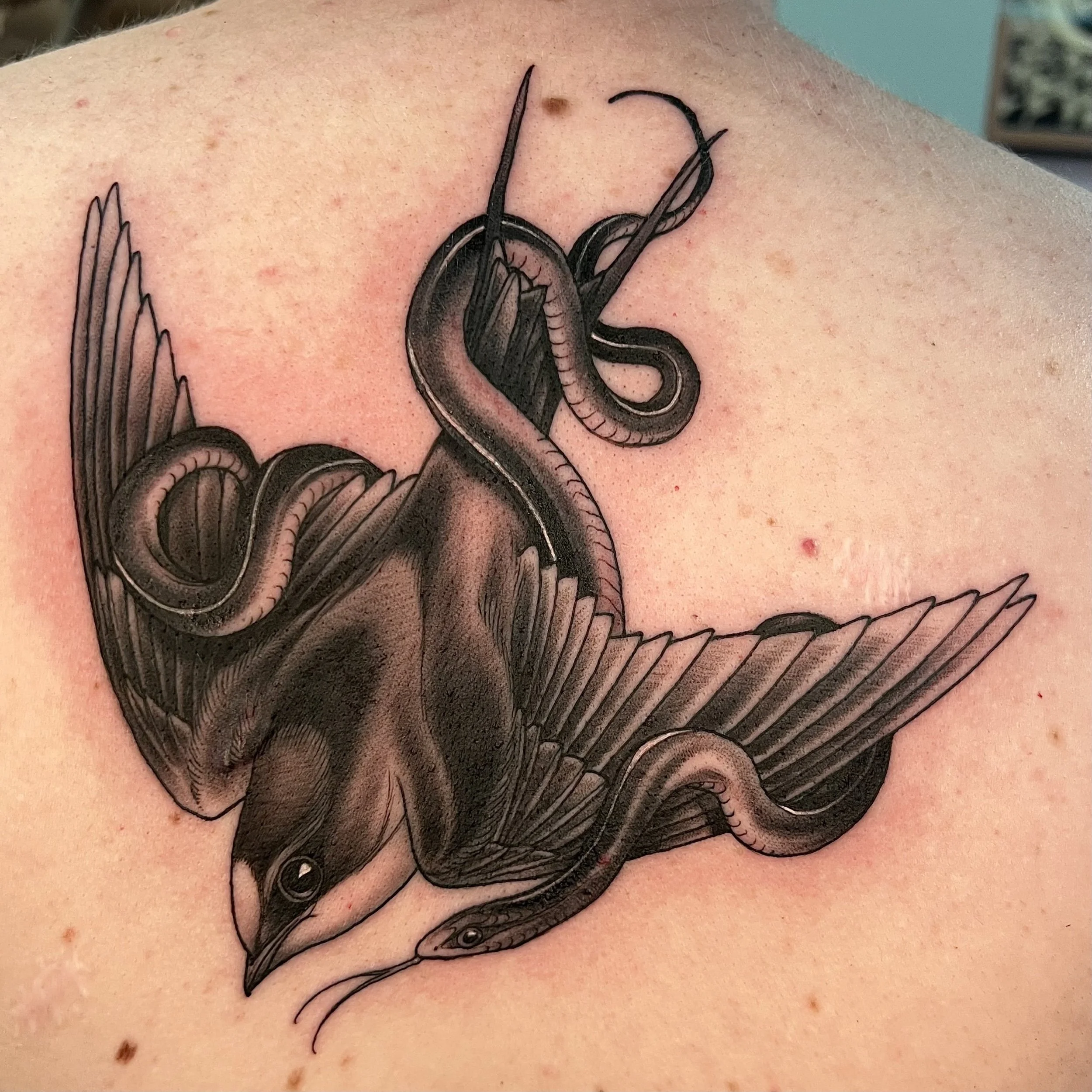 Untitled_Artwork (1).jpg