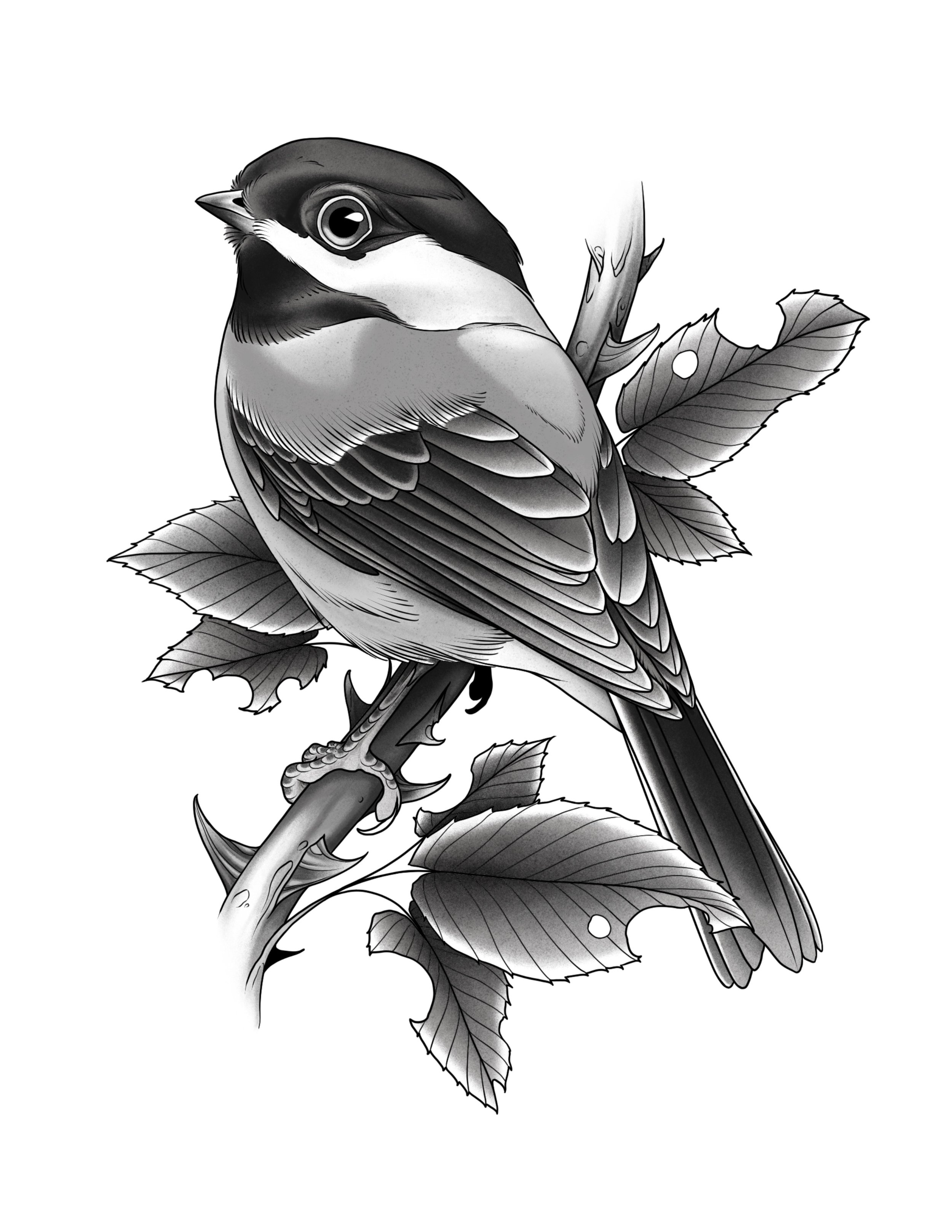 Chickadee
Price: $450 
Minimum Size: 6.5"
