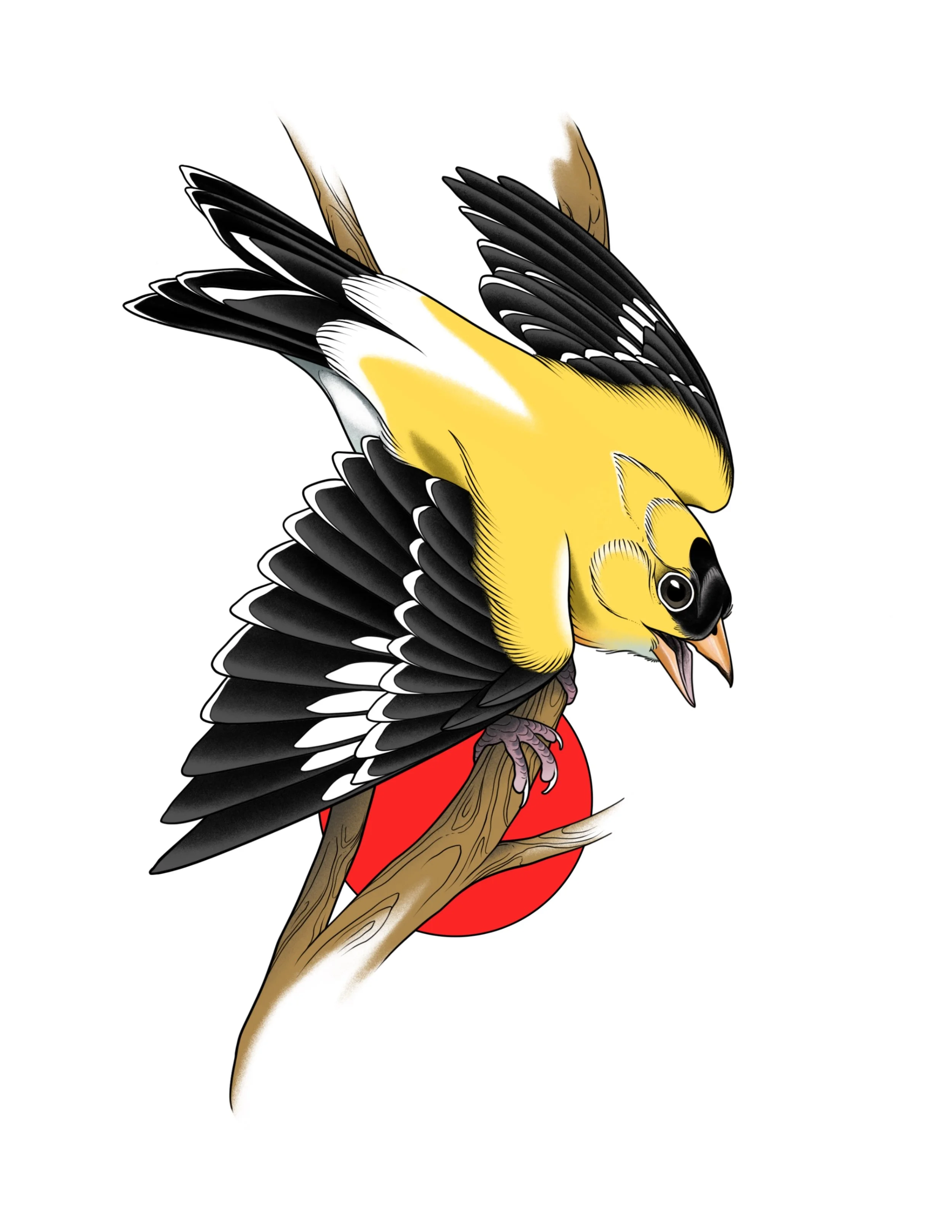 Gold Finch - Wings Out
Price: $425
Minimum Size: 7"