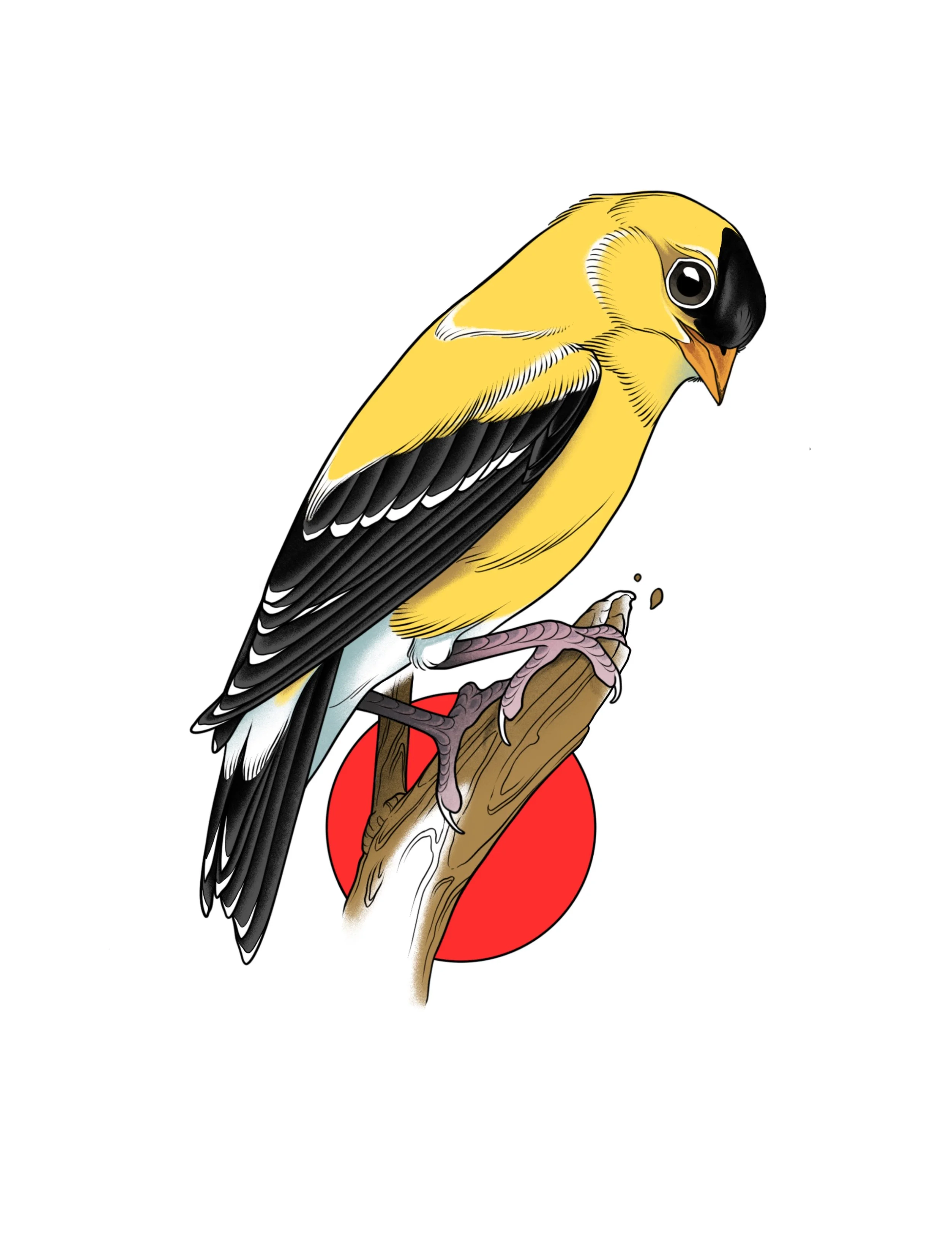 Gold Finch 2
Price: $250
Minimum Size: 5"