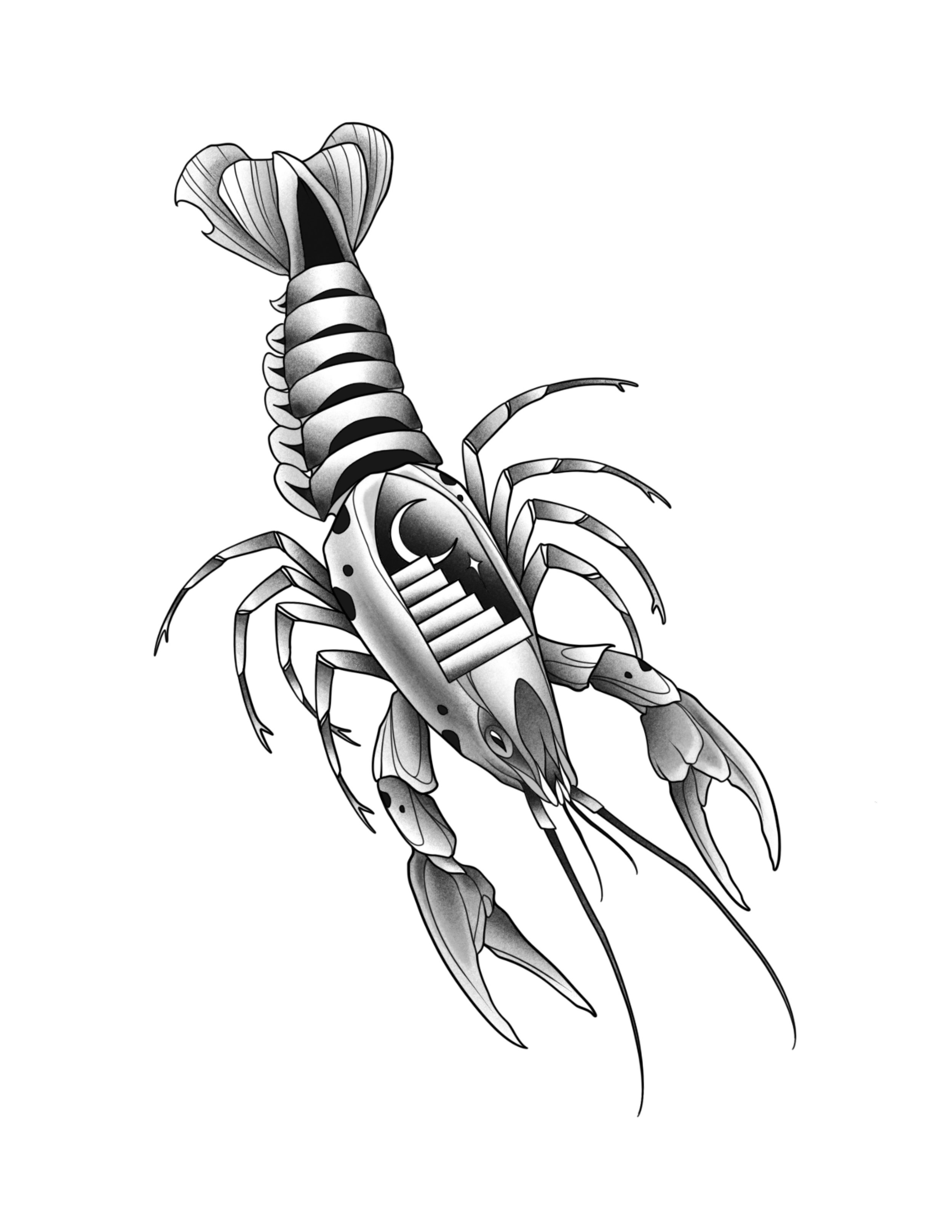 Portal Crawdad
Price: $350
Minimum Size: 6.5"