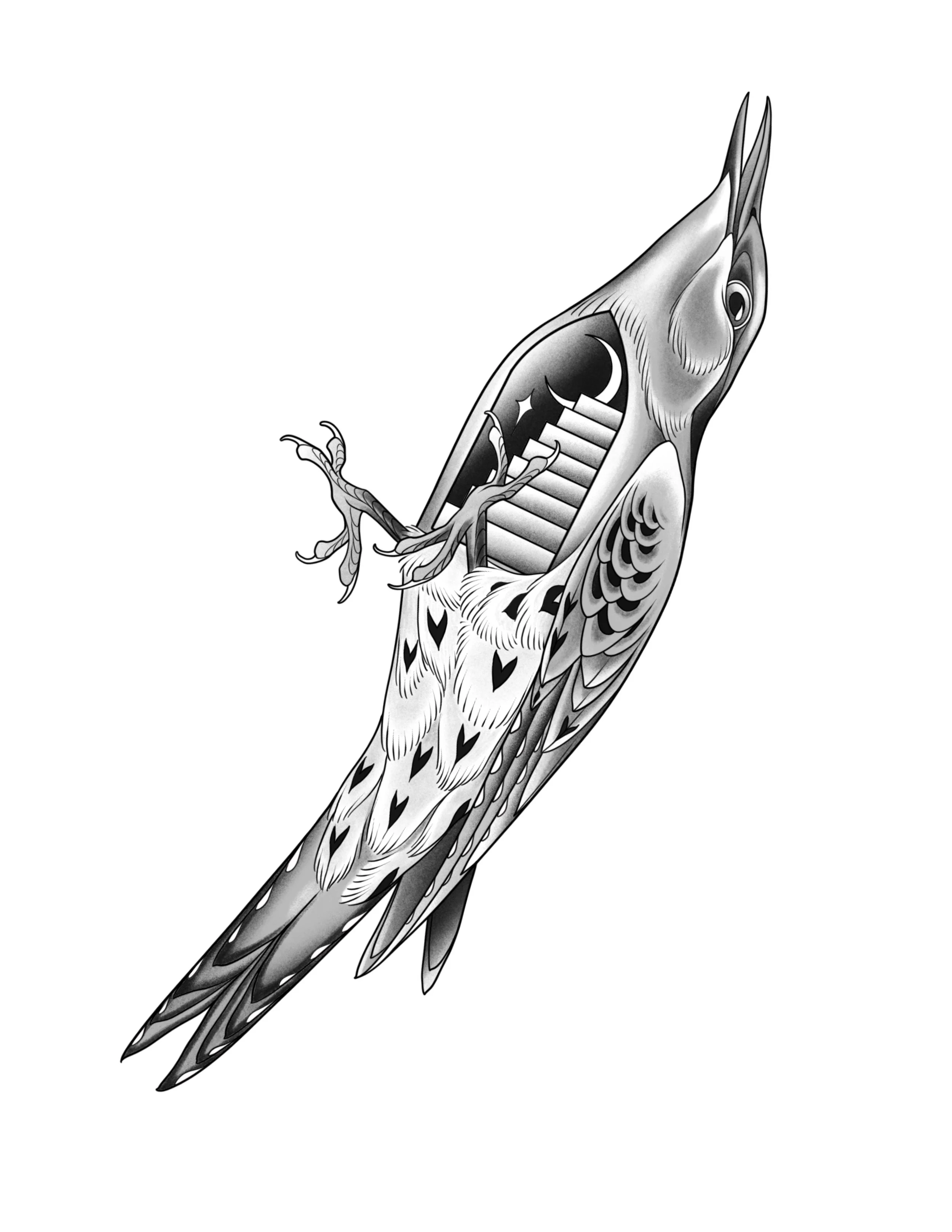 Northern Flicker
Price: $350
Minimum Size: 10" 