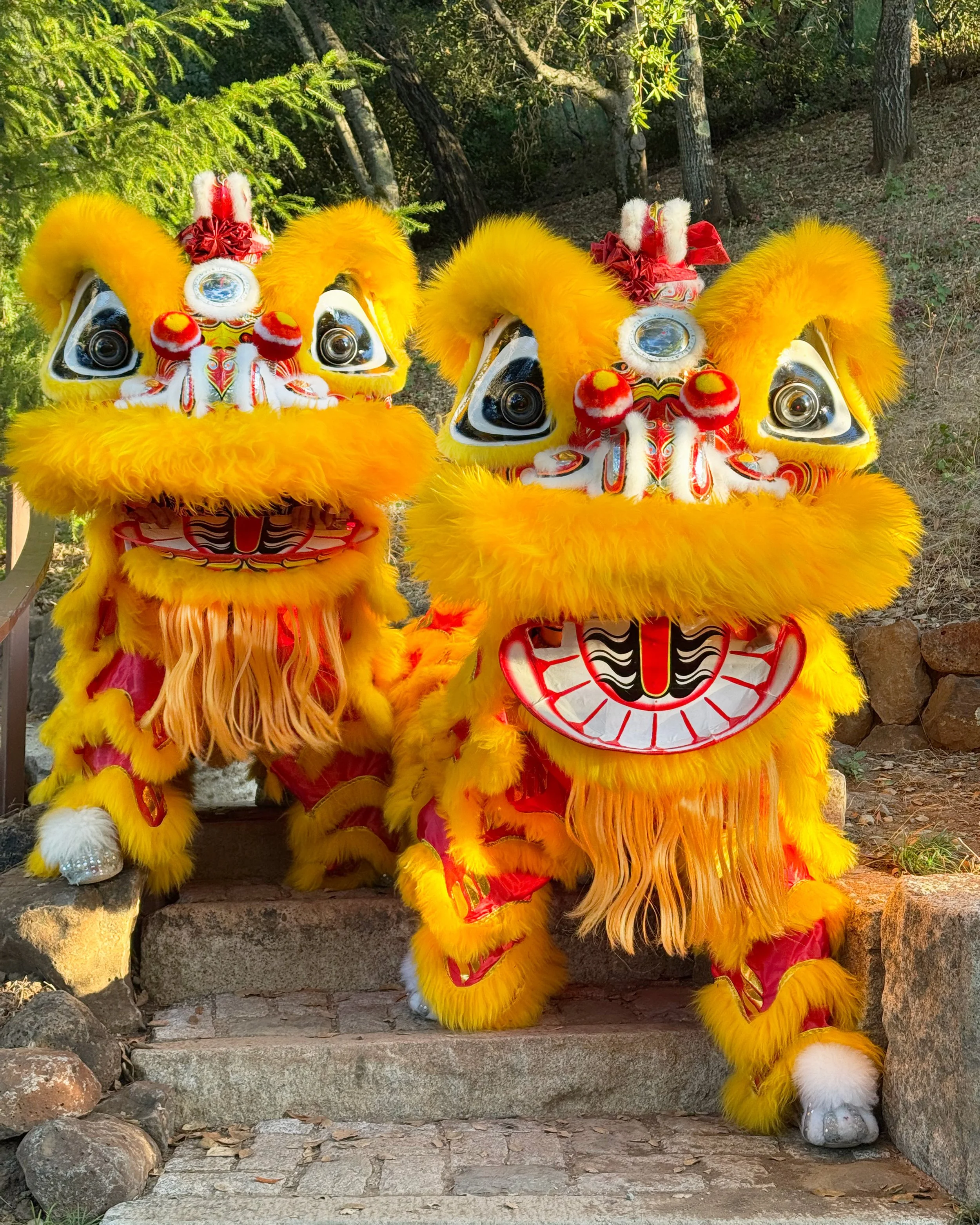 Two traditional yellow lion costumes with red and white details, furry heads, big eyes, and wide mouths, are standing outdoors on stone steps with trees in the background.