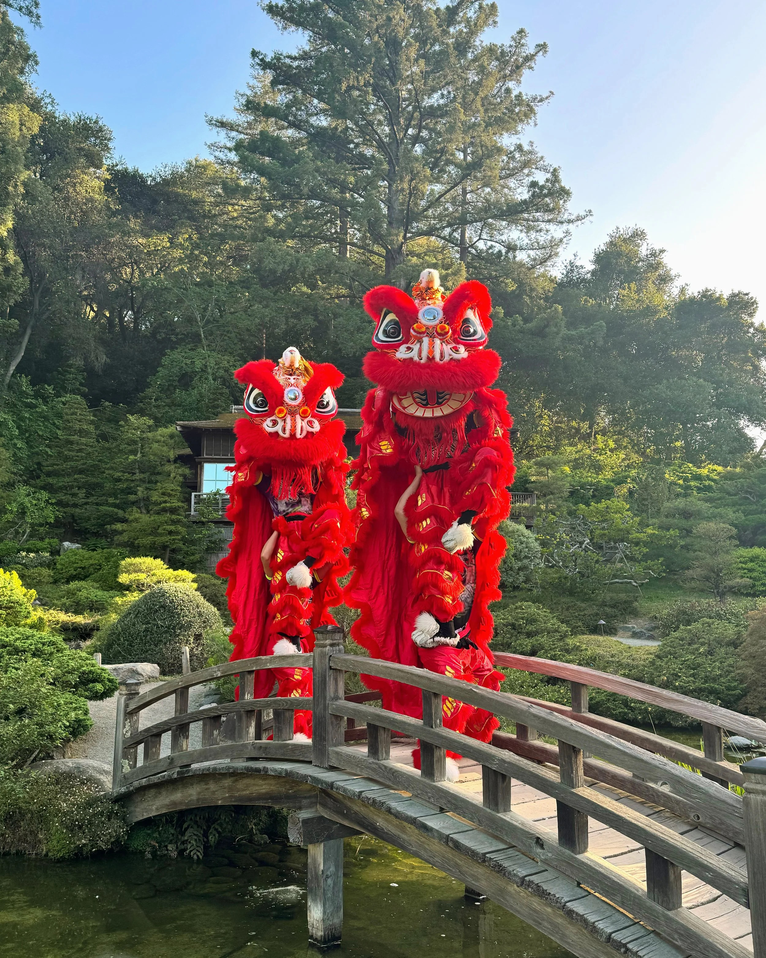 Two people dressed in traditional Chinese lion dance costumes, standing on a wooden bridge in a lush, green garden with trees and a pond.