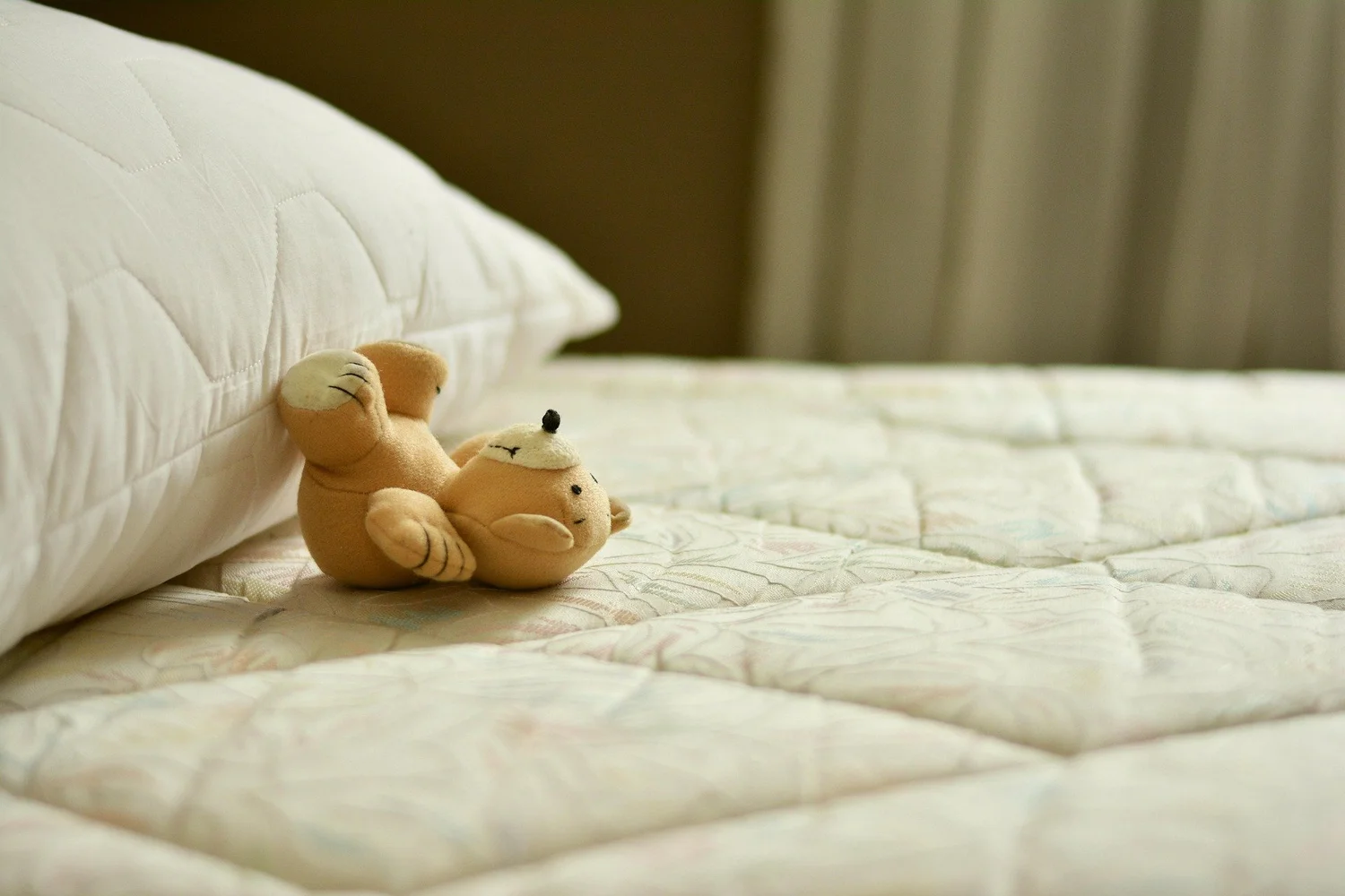 Sleep, Rest, and Serotonin