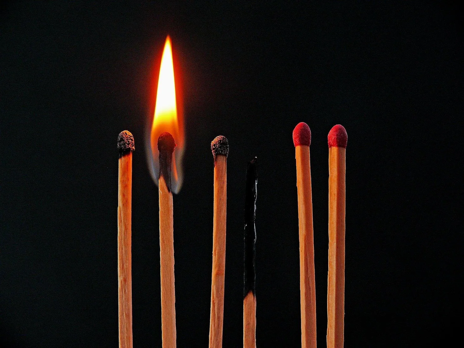 Beyond Feeling Overwhelmed: How Burnout Changes Your Body and Brain