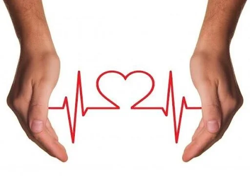 Two hands holding a line art heartbeat pattern that forms a heart shape.