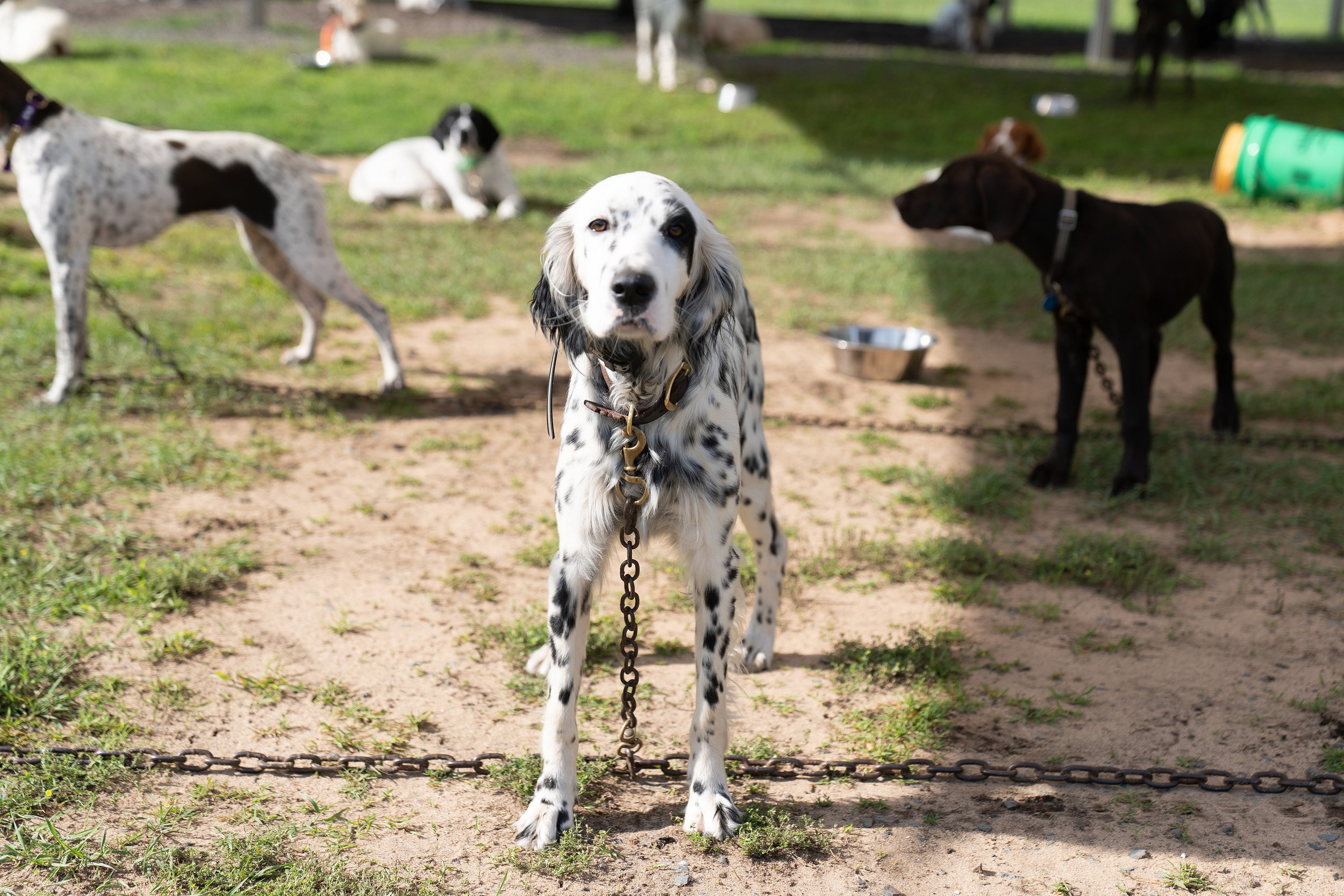 seminar 2025-125-3264.jpg