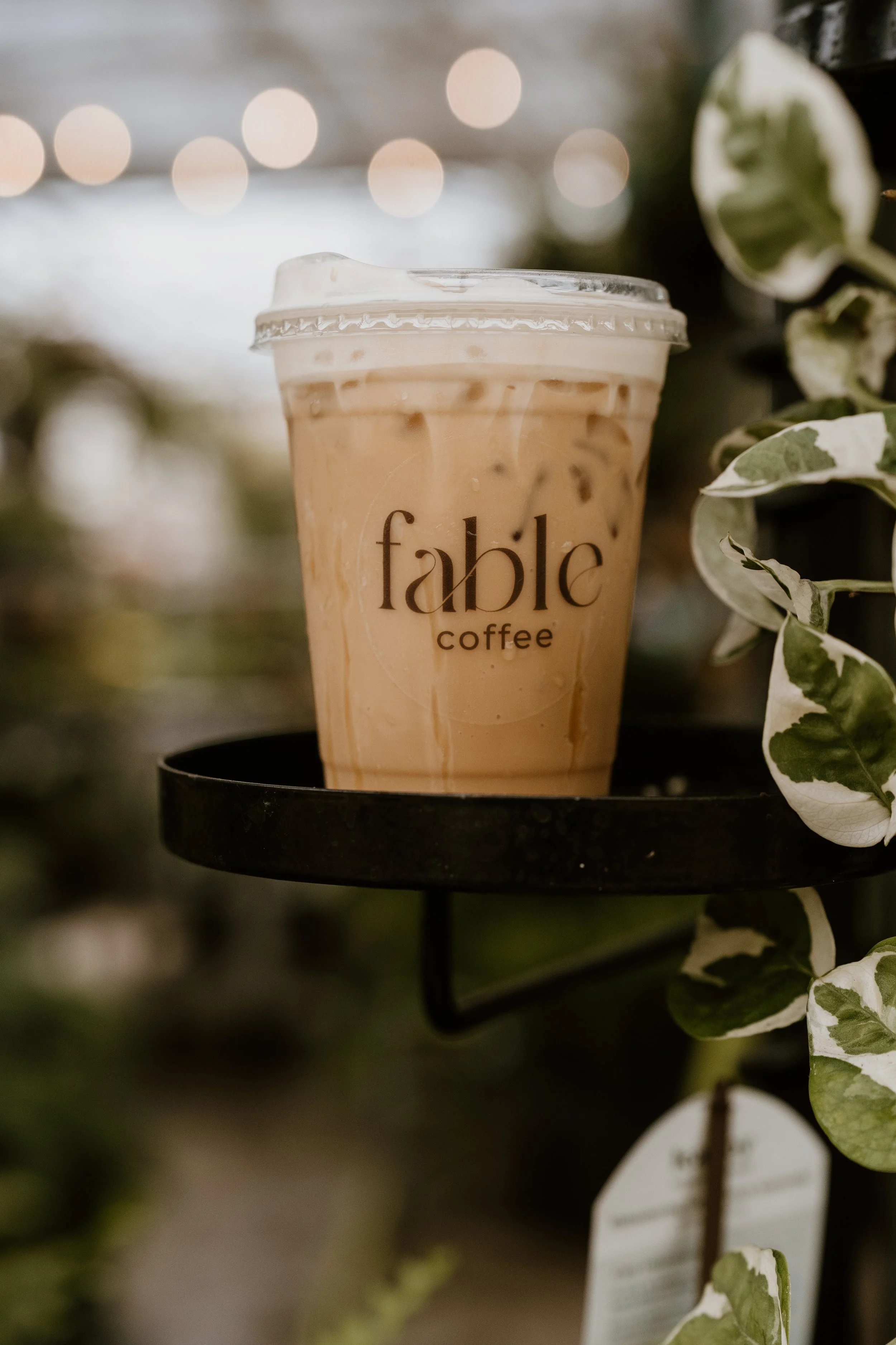 photo of a vanilla iced coffee with plants surrounding
