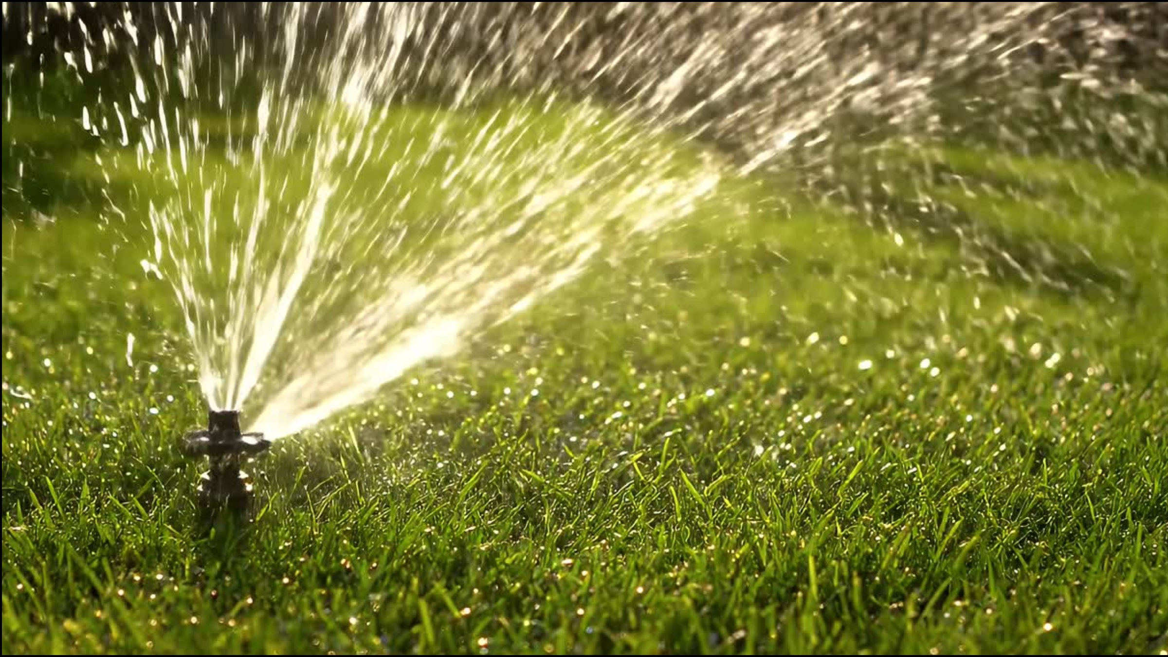 Irrigation and sprinkler systems keep your lawn lush, green, and healthy with consistent watering which makes lawn and turf care simple and stress-free.
