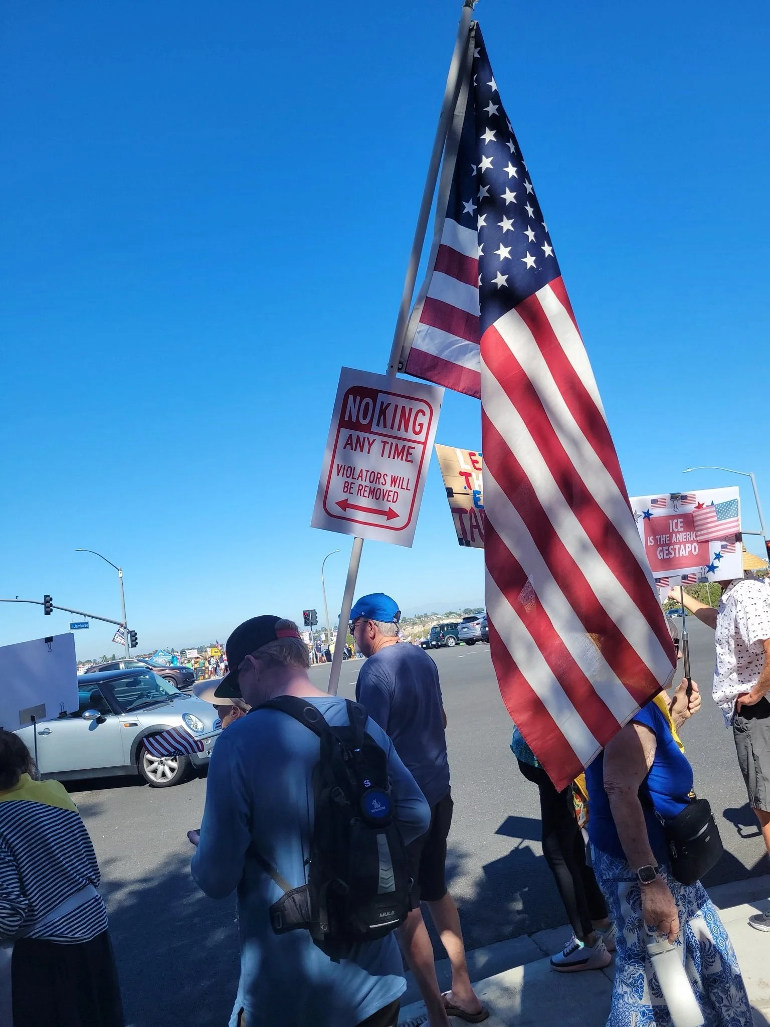 A group of people holding American flags and protest signs at a public gathering on a sunny day.