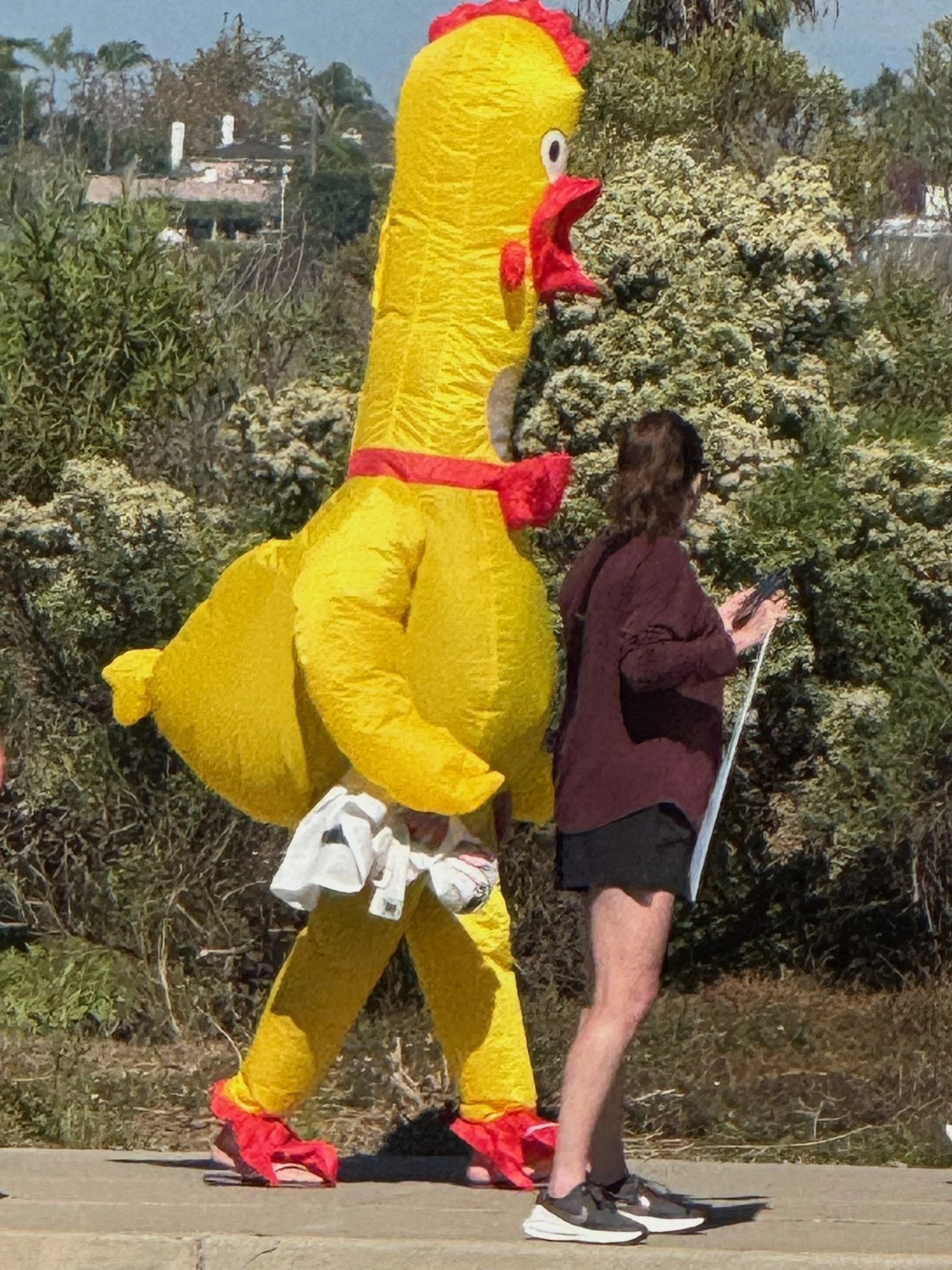 Person dressed in a large yellow chicken costume standing next to a person reading a map outdoors.