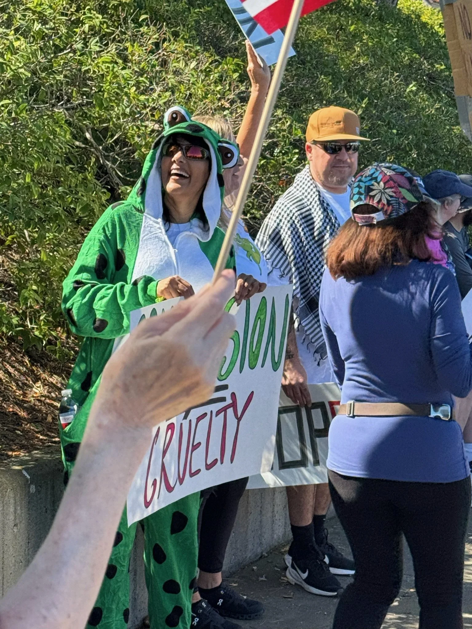 People holding signs and participating in a protest or rally outdoors, with some dressed casually and one in a frog costume.