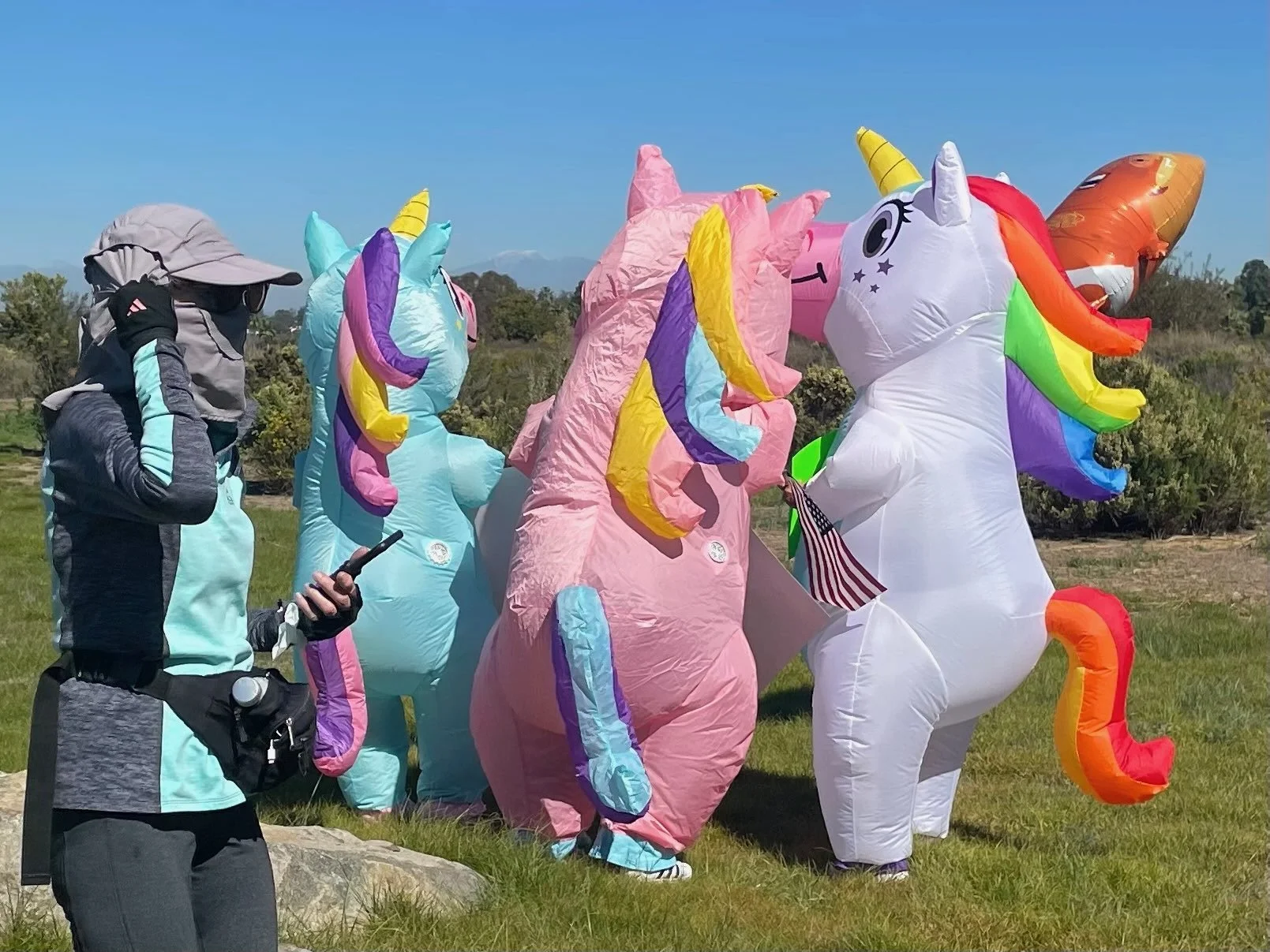 A person wearing a hat and outdoor jacket standing outdoors with four large inflatable unicorns decorated with rainbow colors.