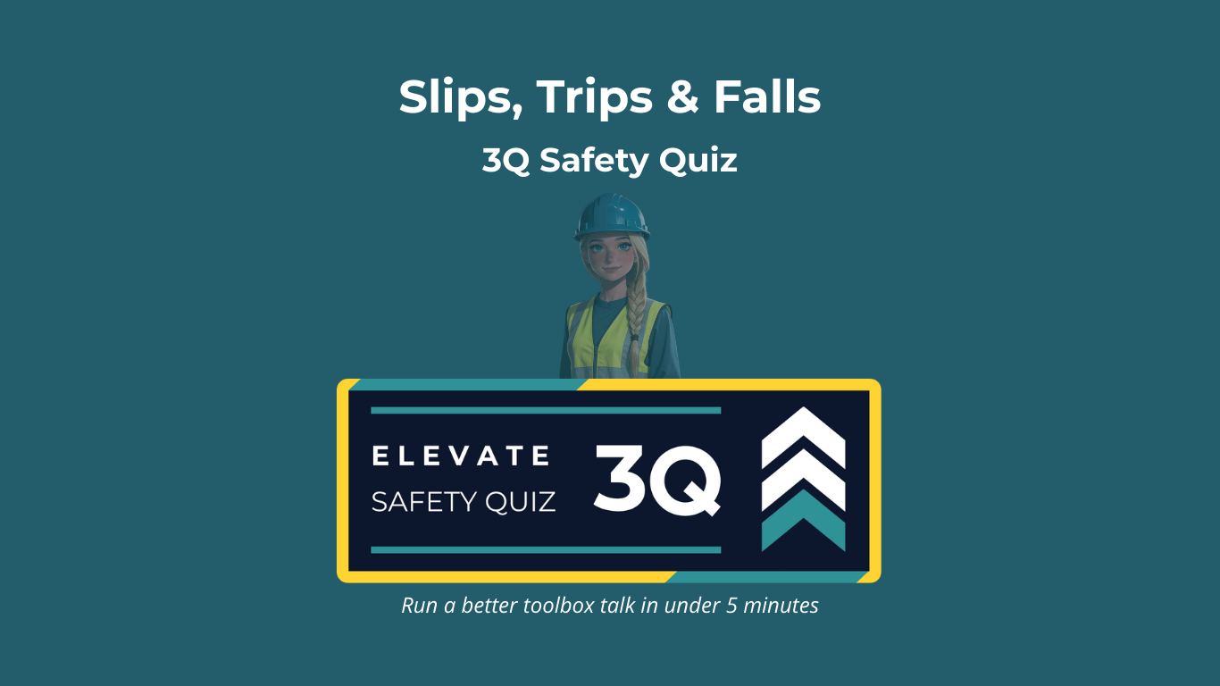 Slips, Trips & Falls: V1 - Wet patch in entrance way