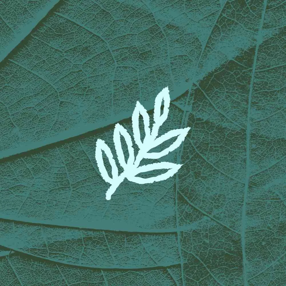 Leaf icon on top of a close up of a leaf in a blue tone