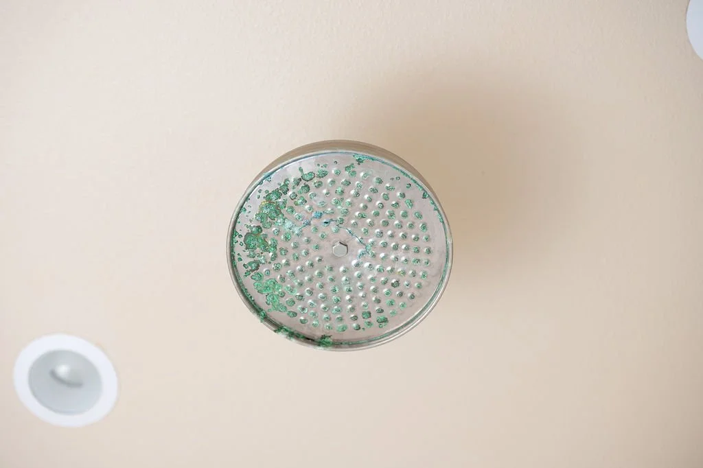 A ceiling with two smoke detectors and a water sprinkler head.