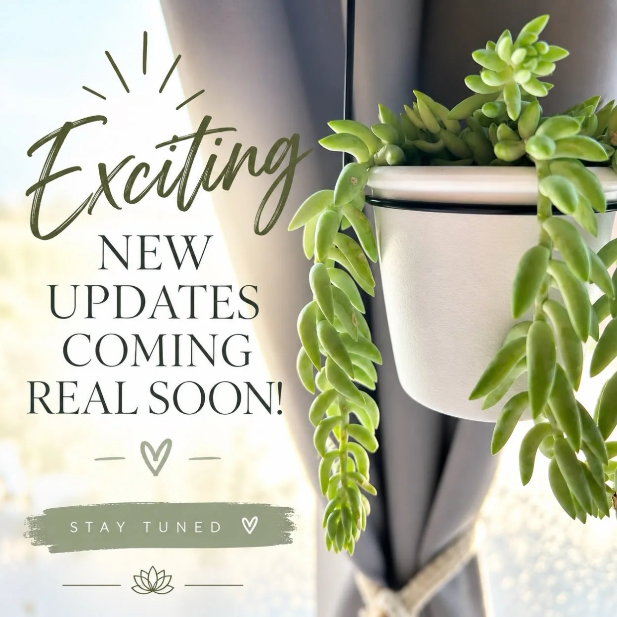 ✨ Exciting things are happening! ✨

We have some new and exciting updates coming your way very soon, and I can&rsquo;t wait to share what we&rsquo;ve been working on! 🌿 Stay tuned&hellip; good things are growing around here. 🤍

And in the meantime,