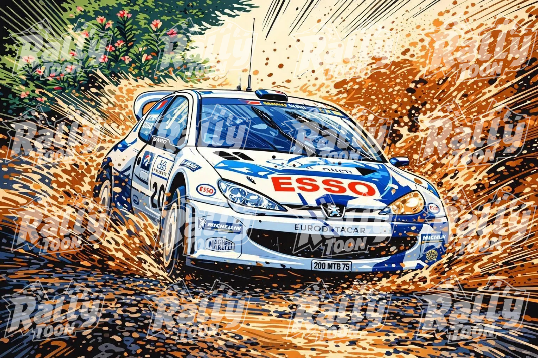 Peugeot 206 WRC