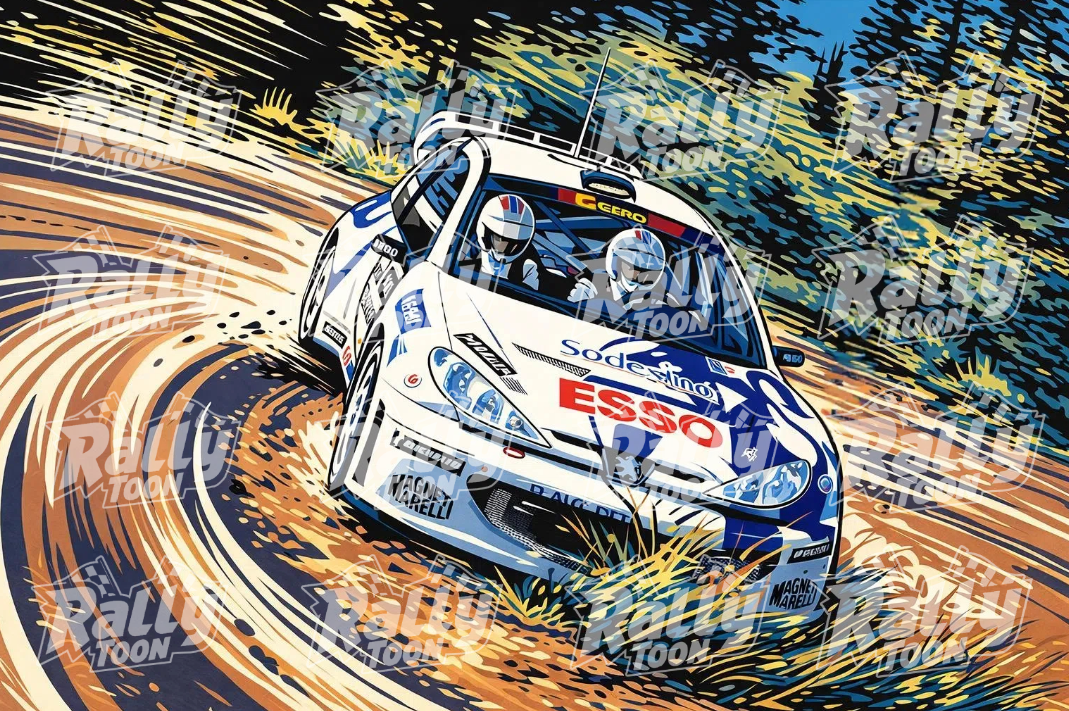 Peugeot 206 drift EVO 1 Poster