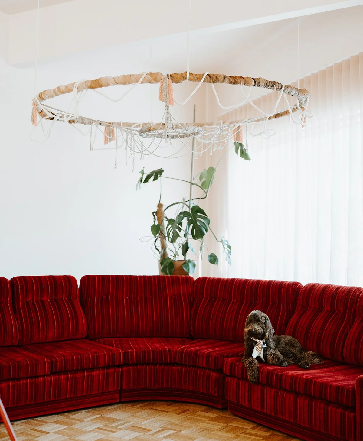 Creative studio with a red velvet sectional sofa, a potted plant, and a hanging geometric wooden structure from the ceiling. A brown dog with a white bandana is lying on the sofa.
