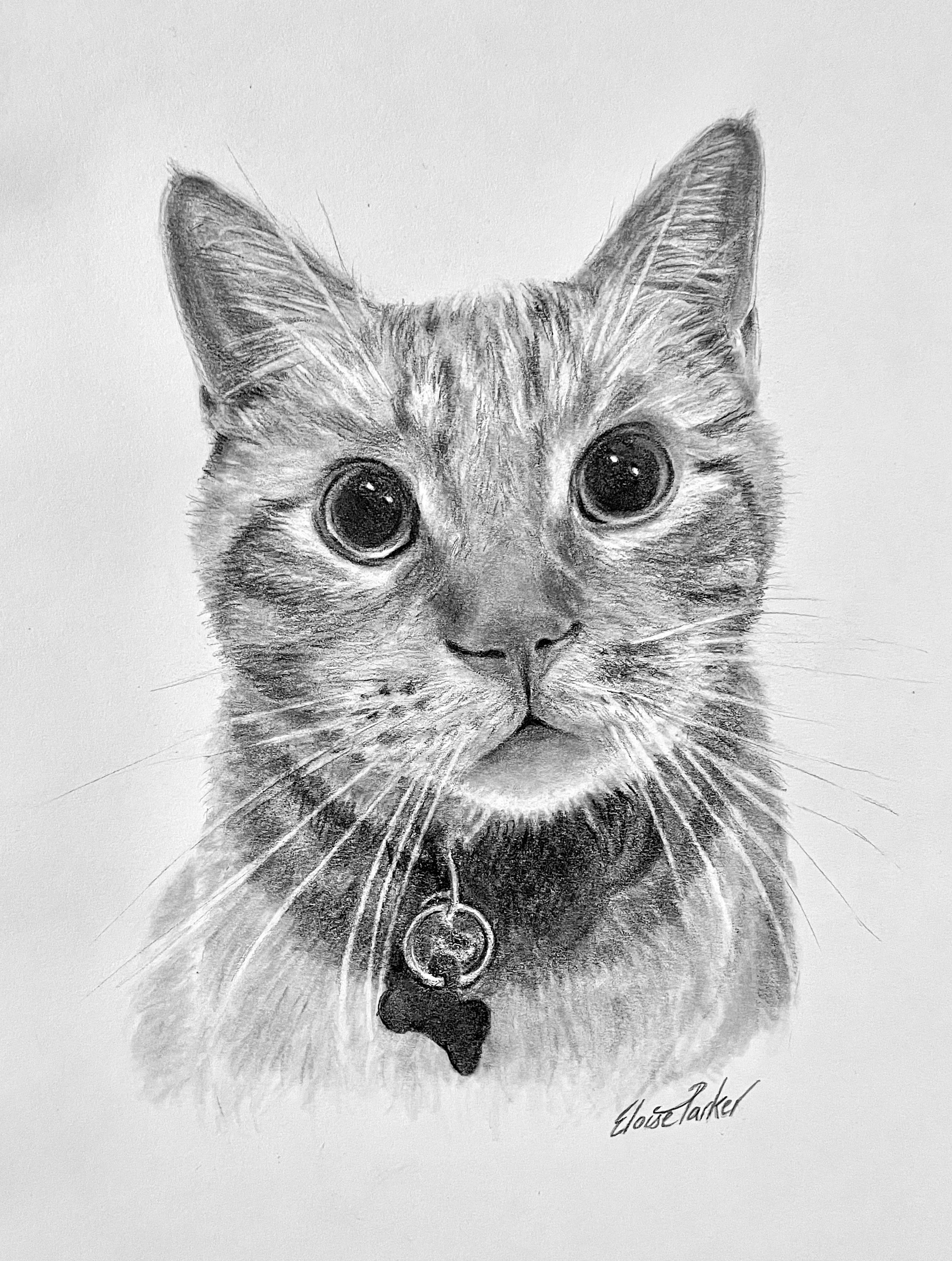 A detailed black and white pencil drawing of a cat's face, showing large eyes, pointed ears, and a collar with a tag. Copyright Eloise Parker.