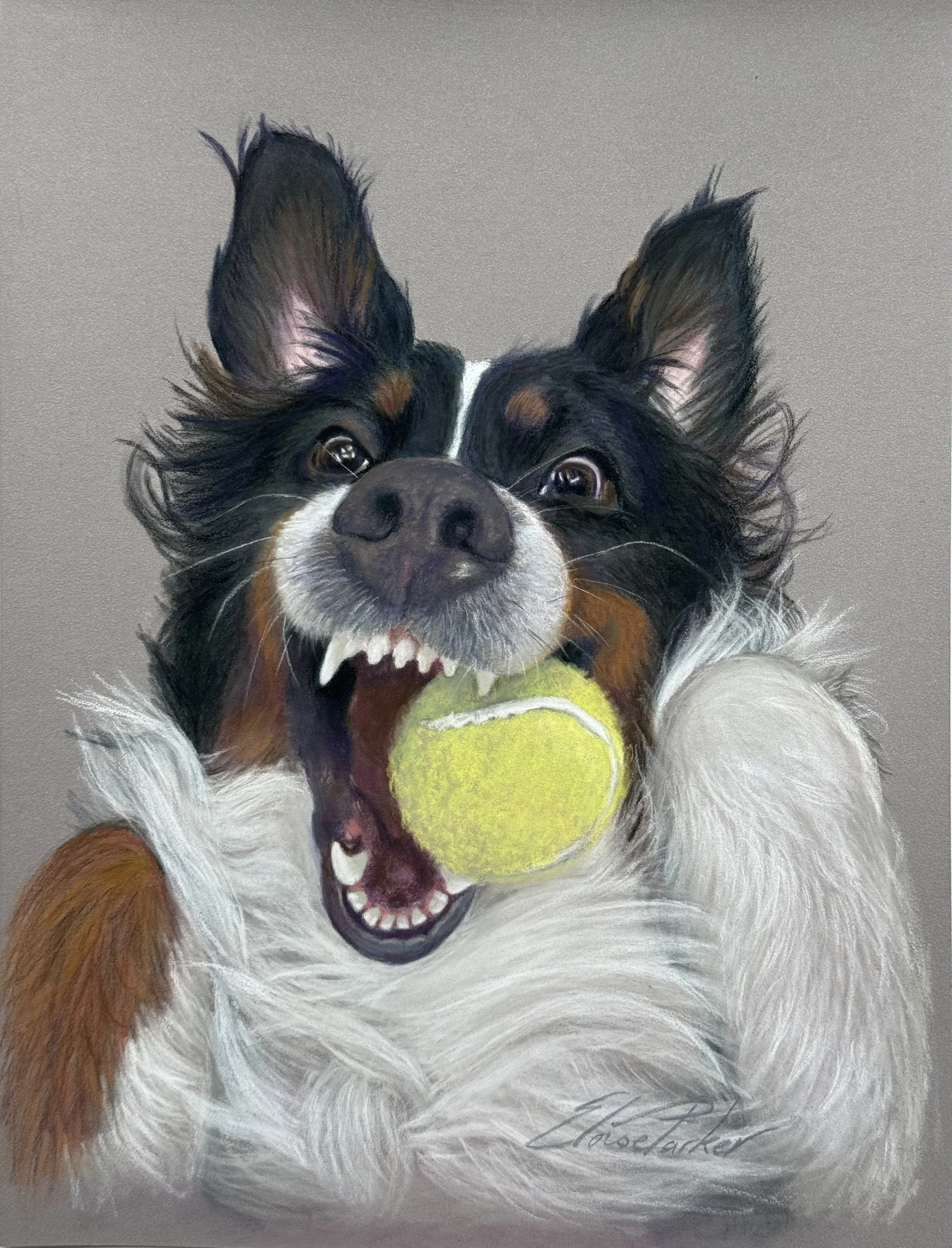 Painting of a happy dog with a tennis ball in its mouth, looking excited. Copyright Eloise Parker.