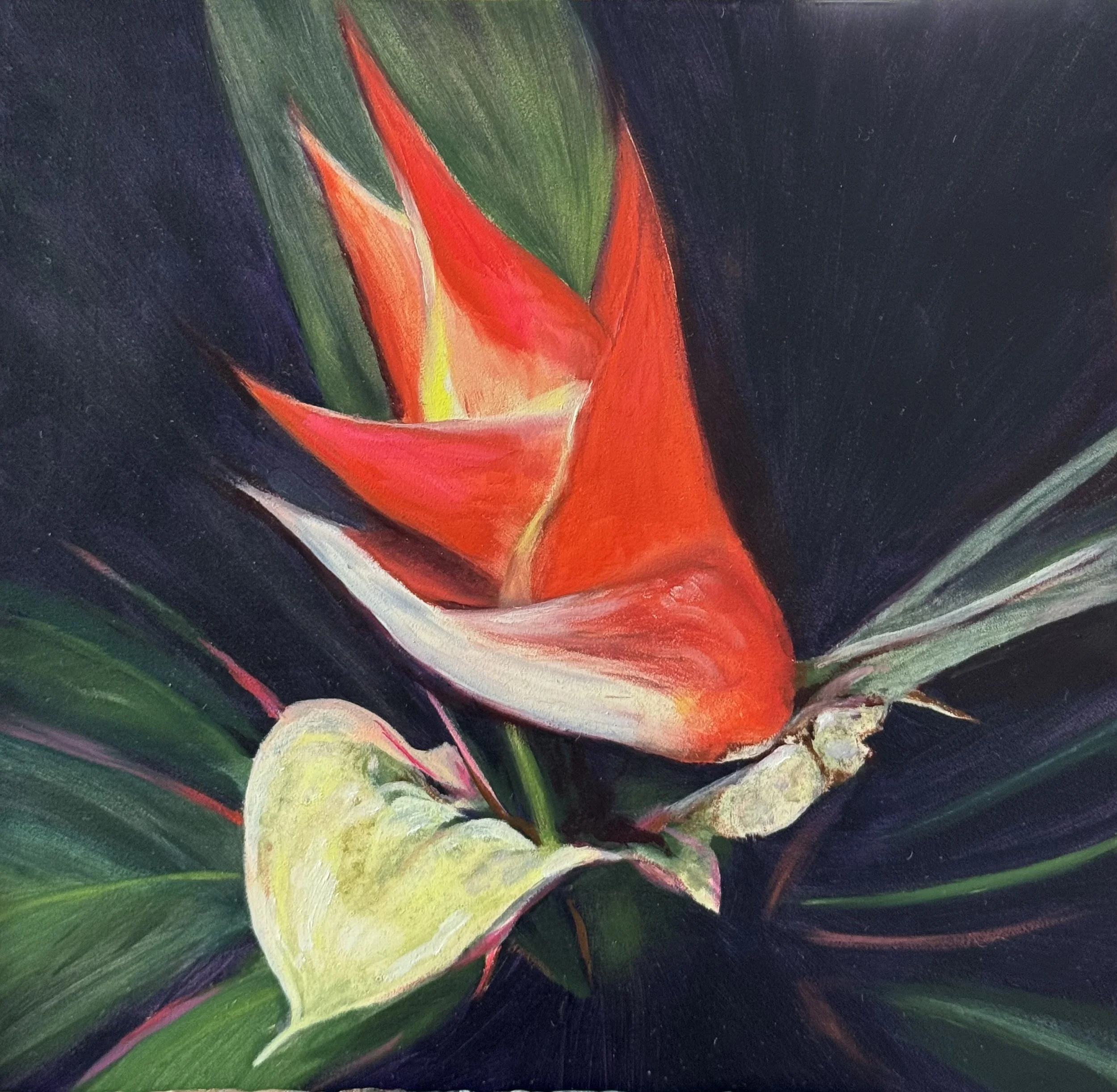 A close-up painting of a colorful tropical flower, featuring vibrant red, yellow, and green petals against a dark background. Copyright Eloise Parker.