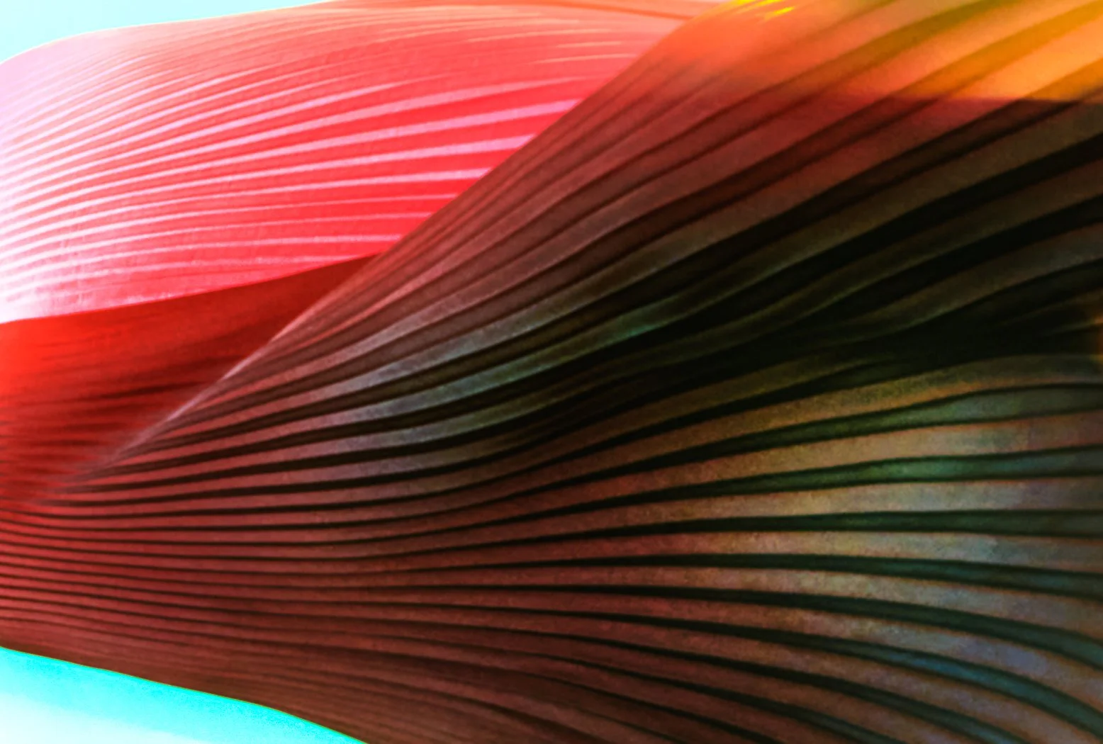 Close-up of layered, colorful paper or cardboard, showing textures and curved edges with a gradient of red, brown, green, and yellow hues.
