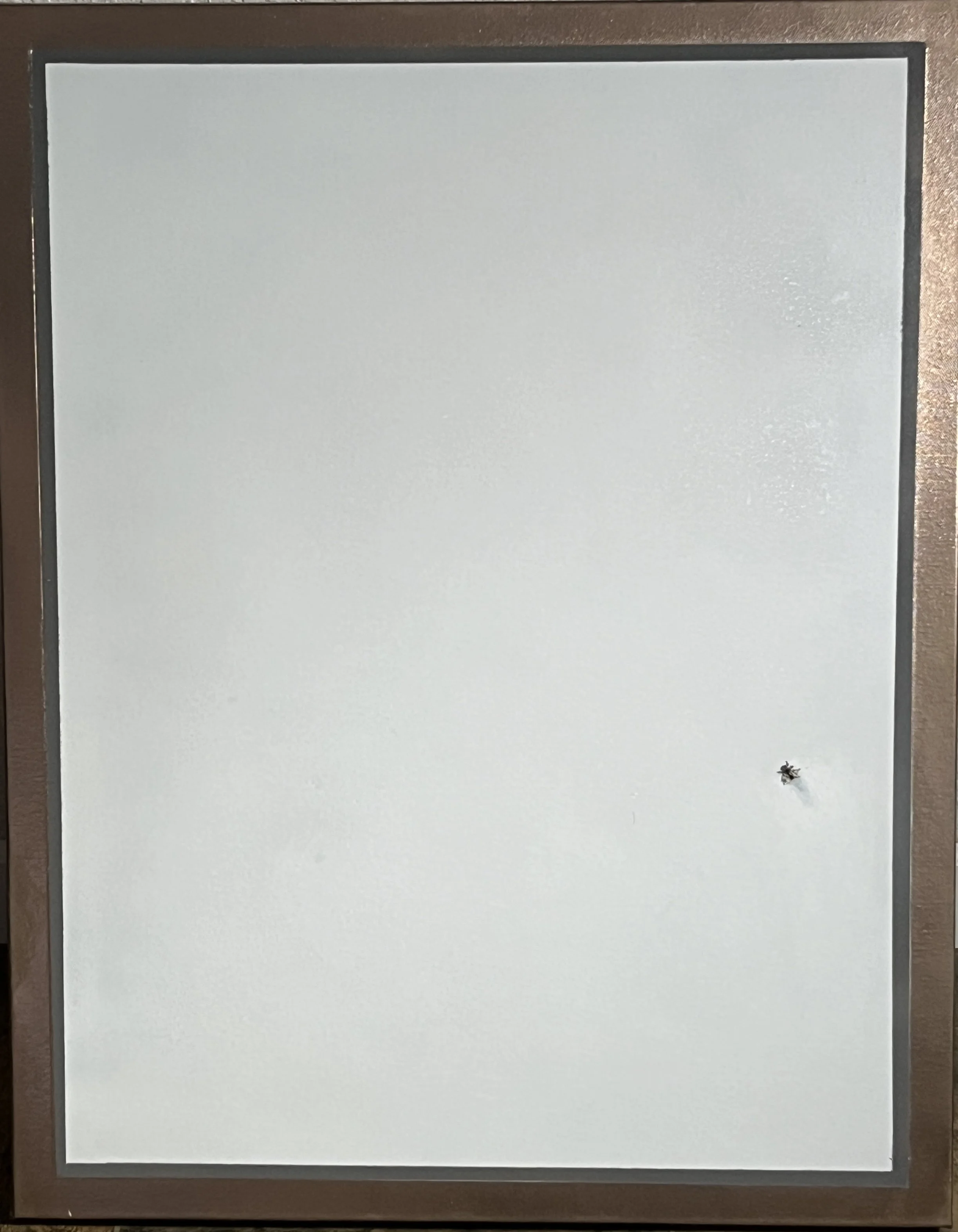 White tile with a small insect near the bottom right corner.